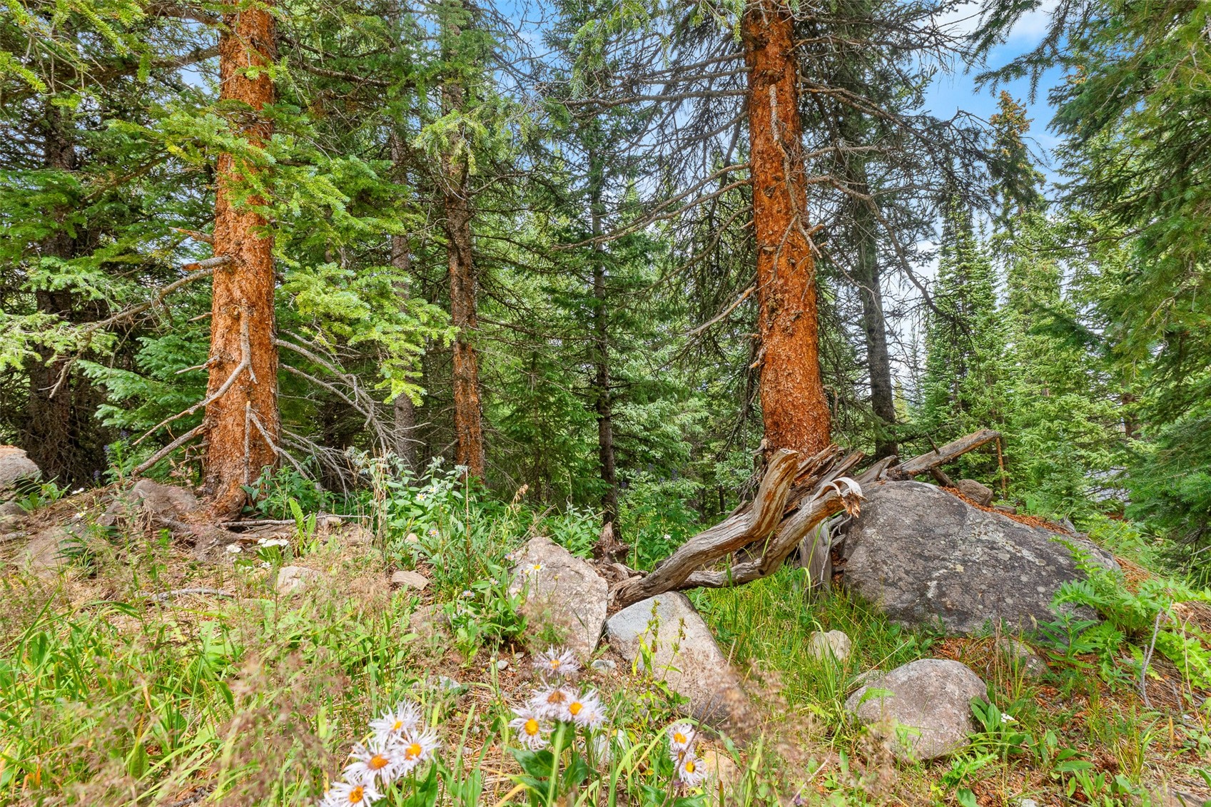 0057 County Road 675 Breckenridge CO 80424