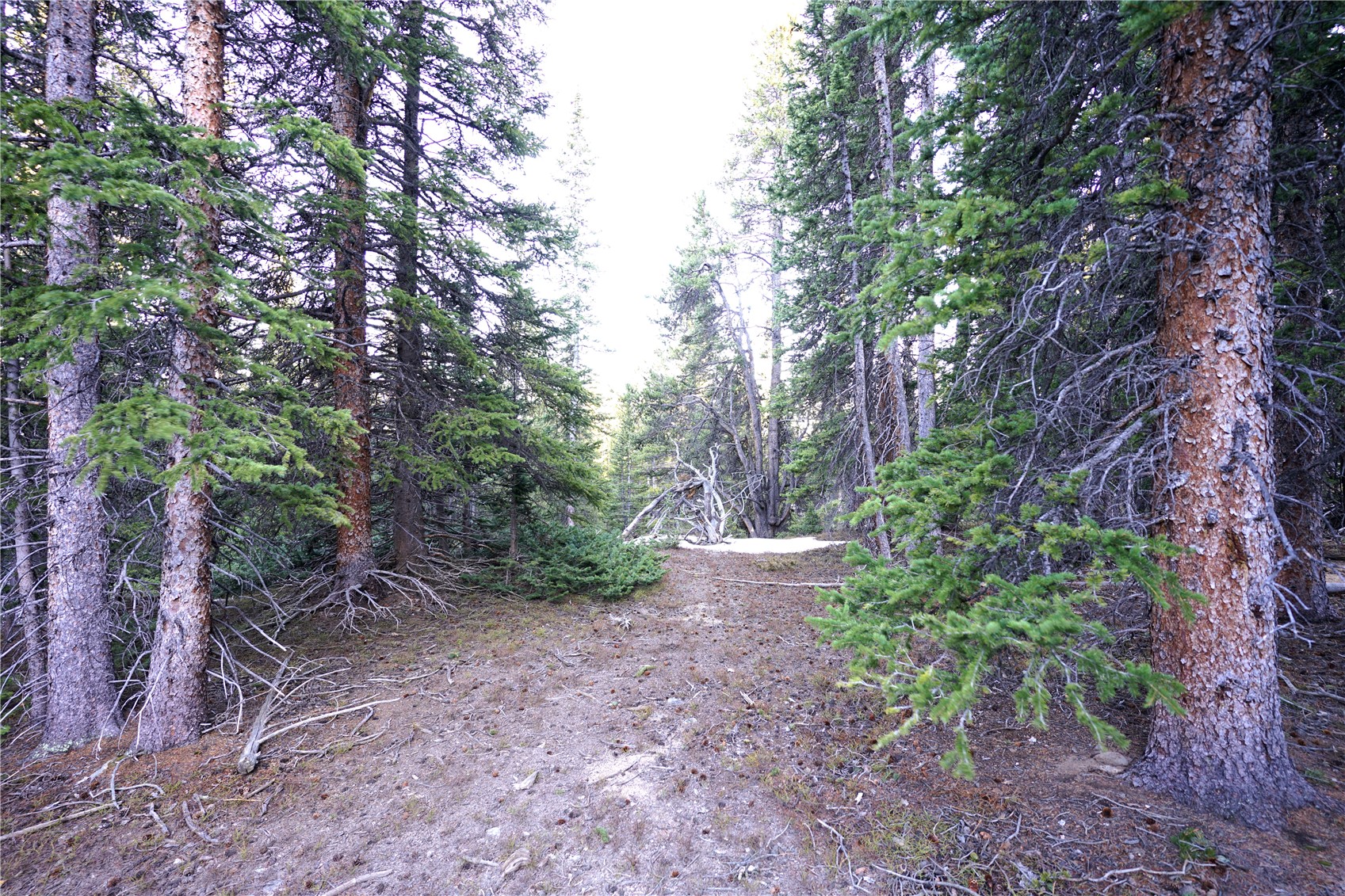 210 Silverheels Place Fairplay CO 80440