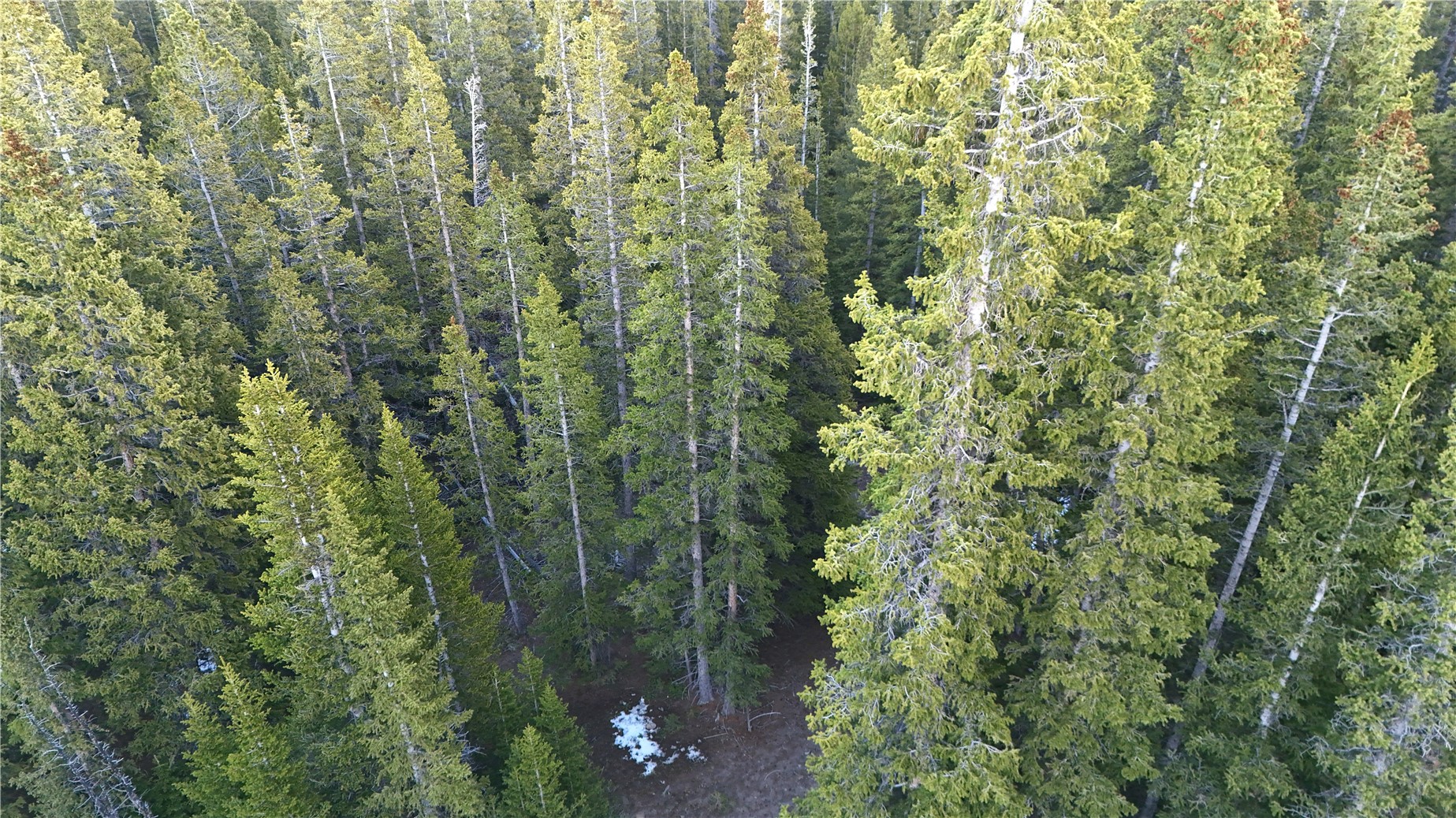 210 Silverheels Place Fairplay CO 80440