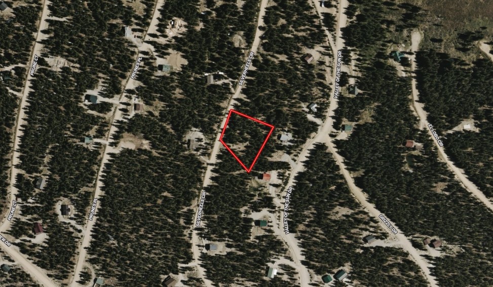 210 Silverheels Place Fairplay CO 80440