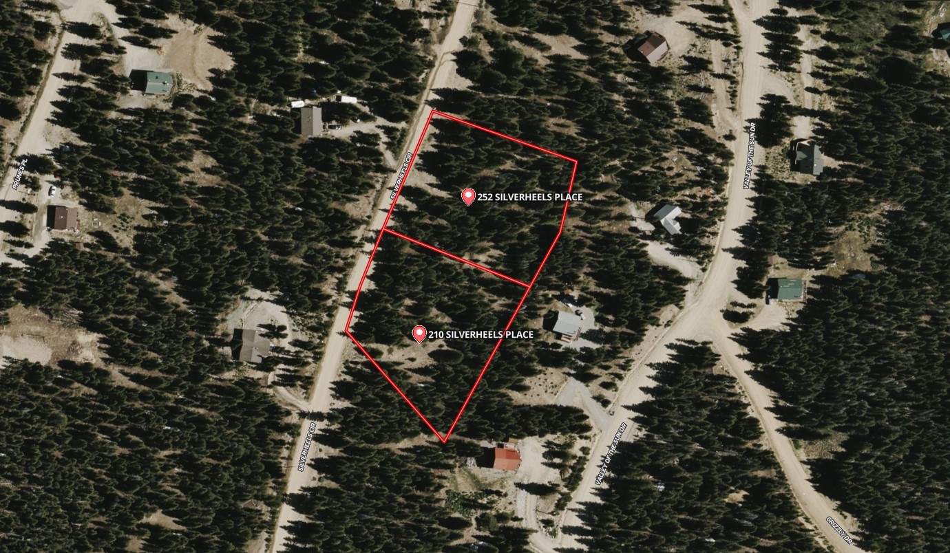 210 Silverheels Place Fairplay CO 80440
