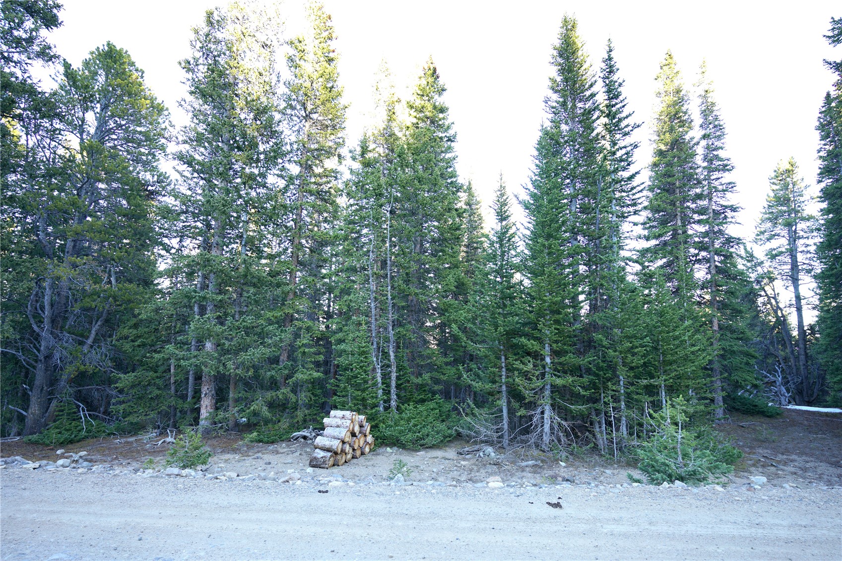210 Silverheels Place Fairplay CO 80440