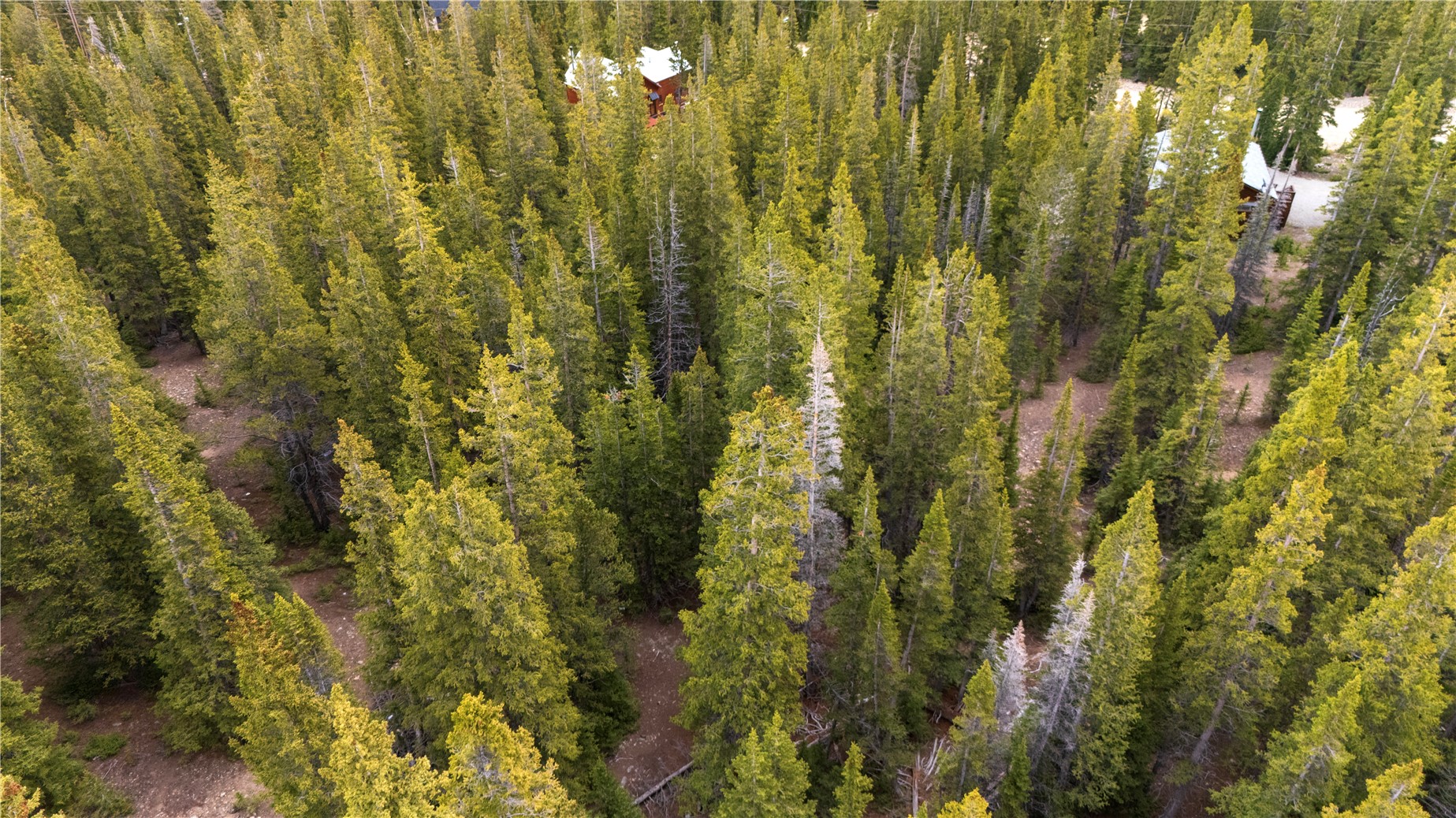 210 Silverheels Place Fairplay CO 80440