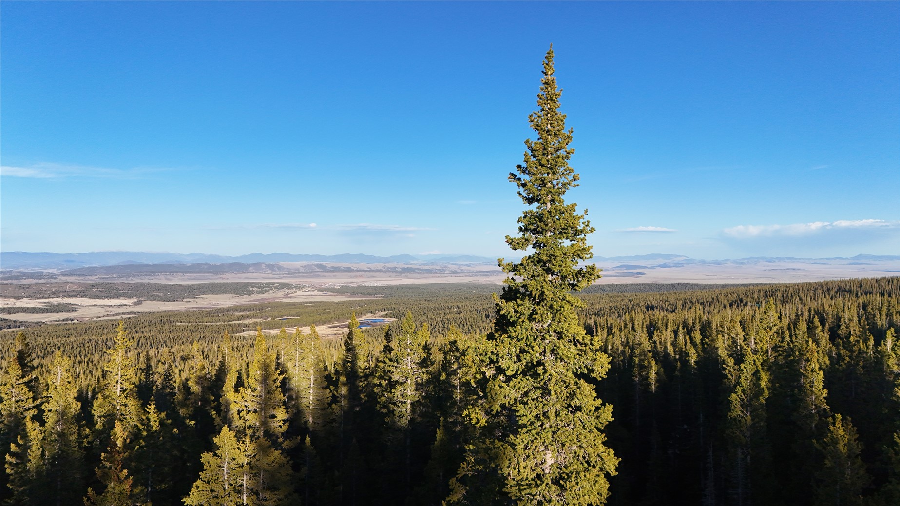 210 Silverheels Place Fairplay CO 80440