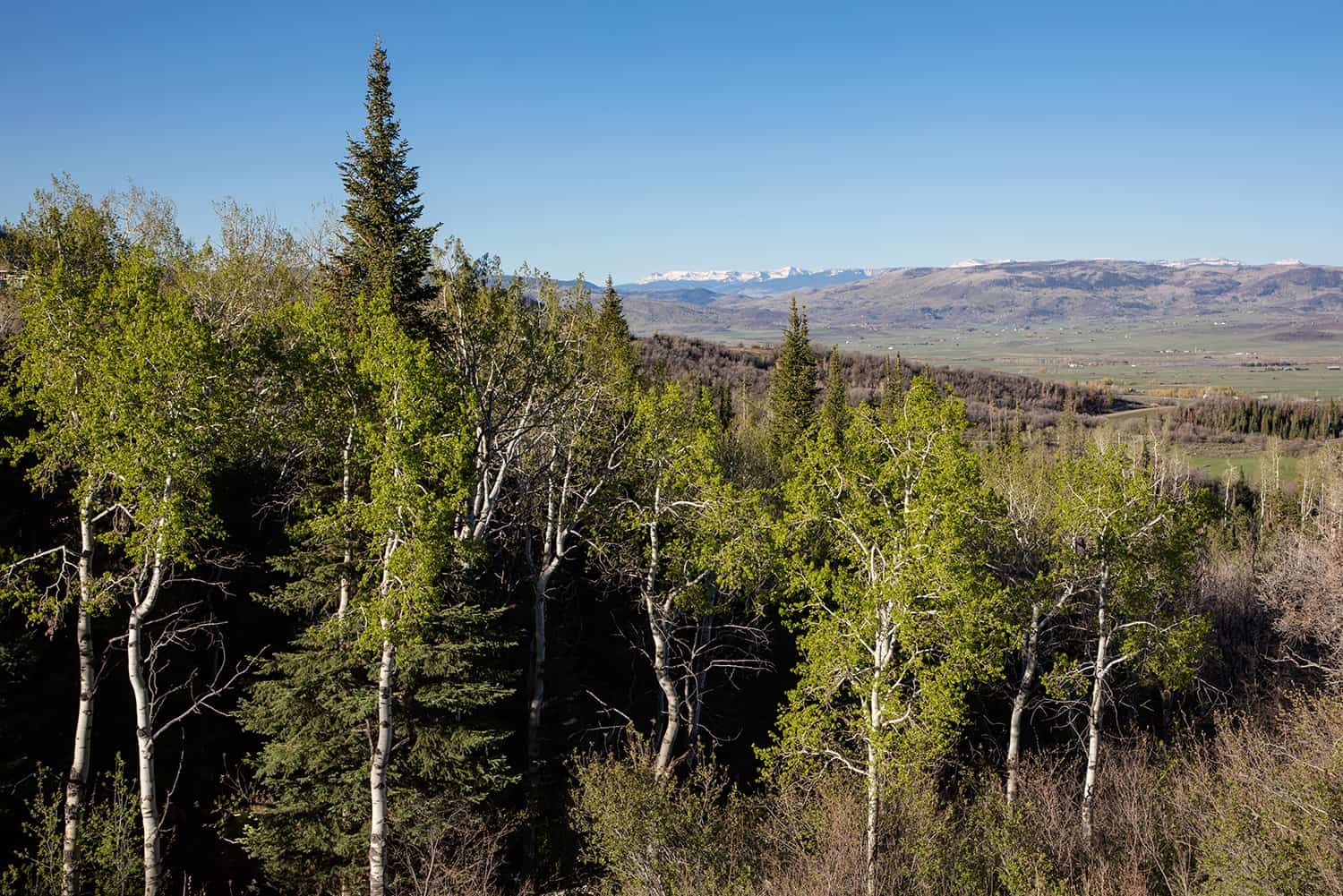 34905 Rockledge Road Steamboat Springs CO 80487