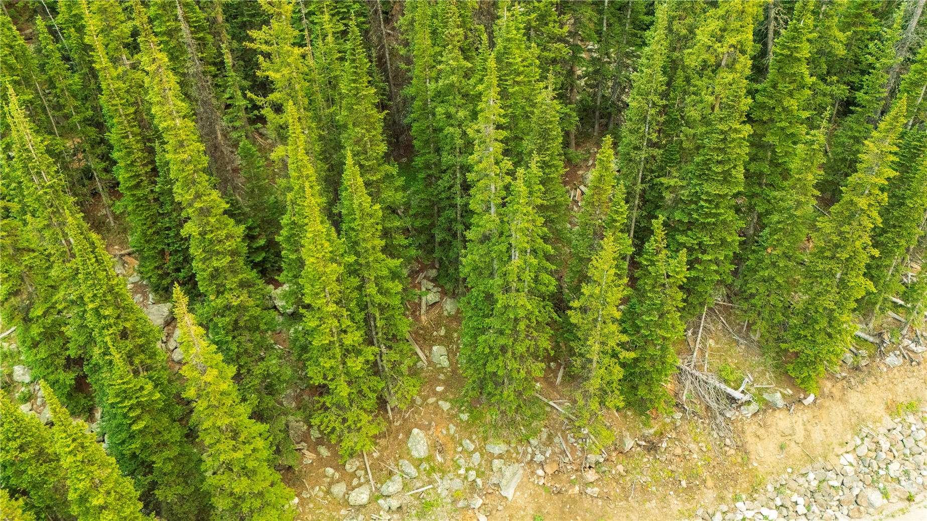 355 Quandary View Drive Breckenridge CO 80424