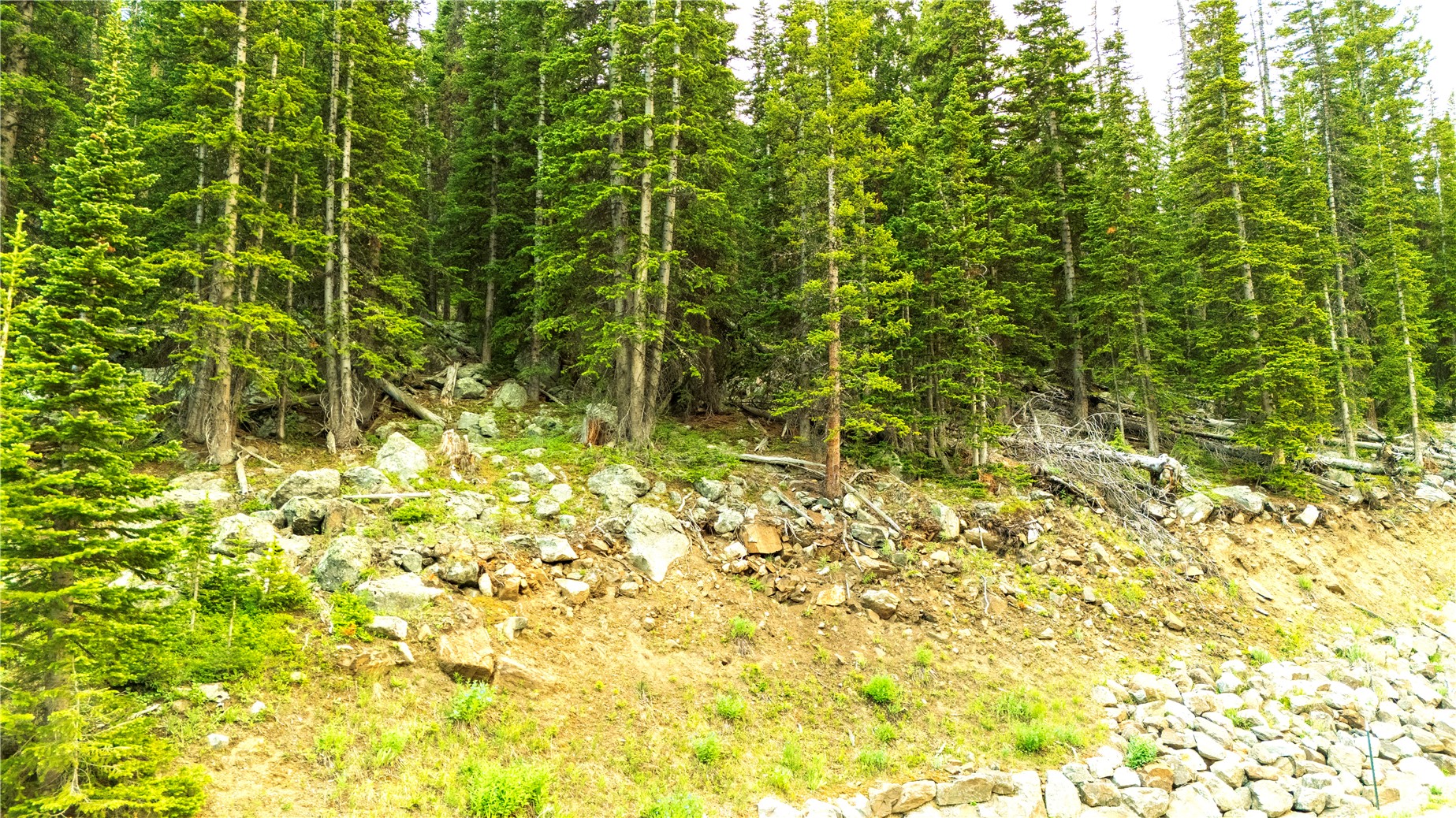 355 Quandary View Drive Breckenridge CO 80424