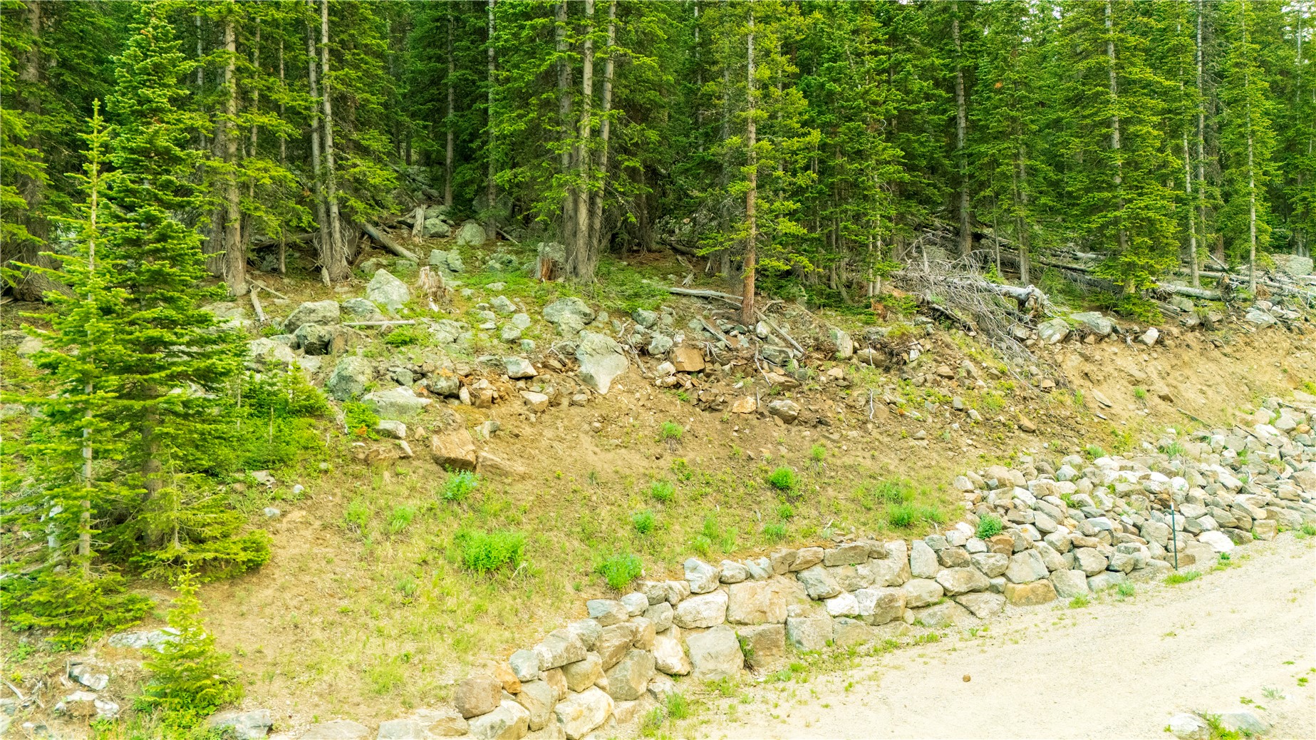 355 Quandary View Drive Breckenridge CO 80424