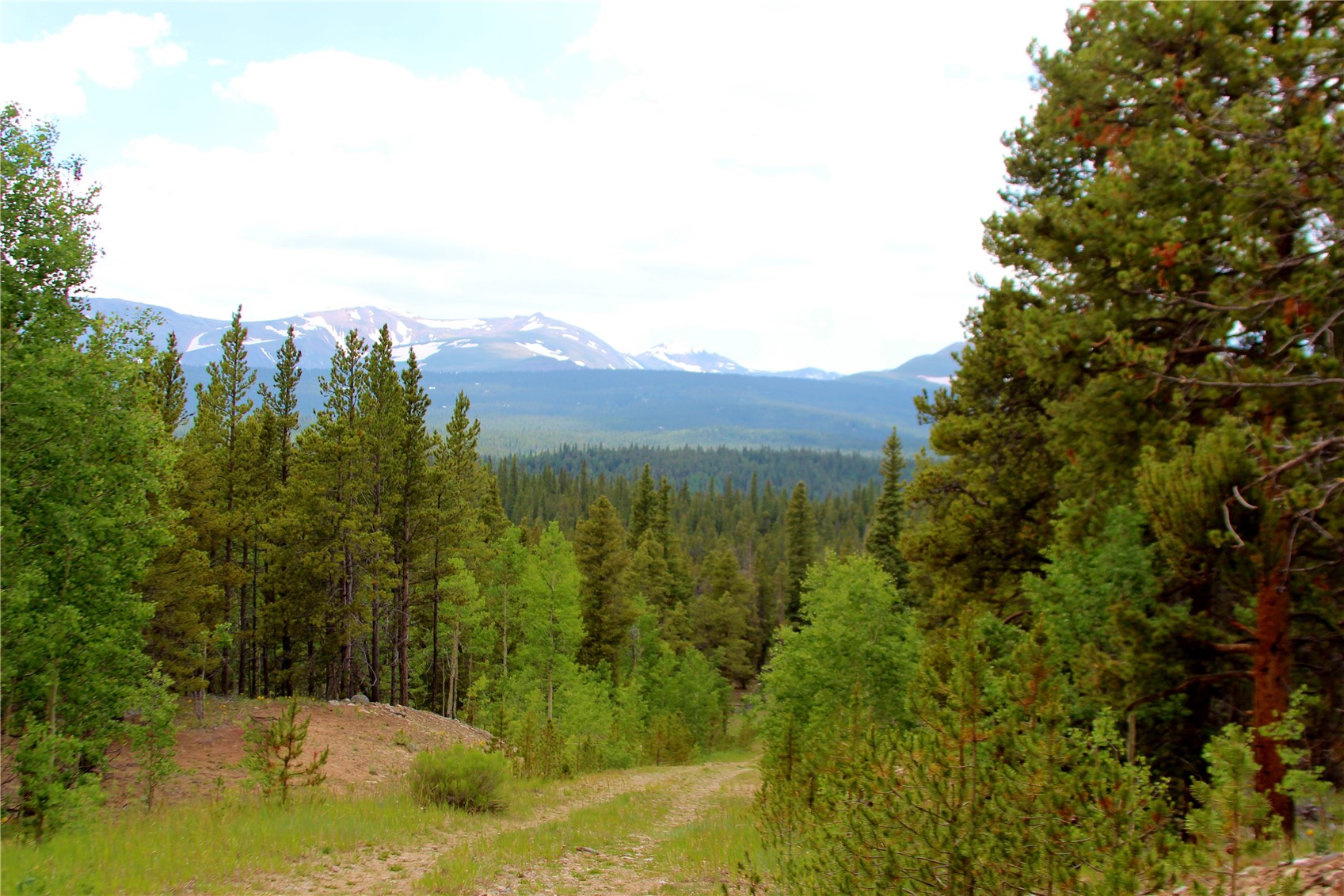 Tbd Glacier Ridge Road Alma CO 80420