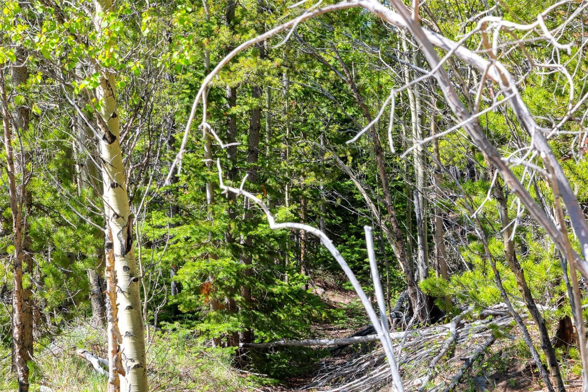 715 Lewsader Road Alma CO 80420
