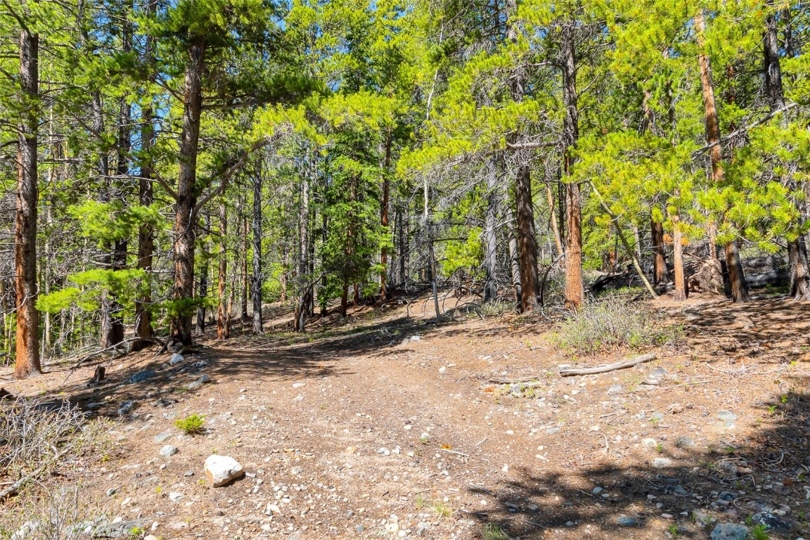 715 Lewsader Road Alma CO 80420