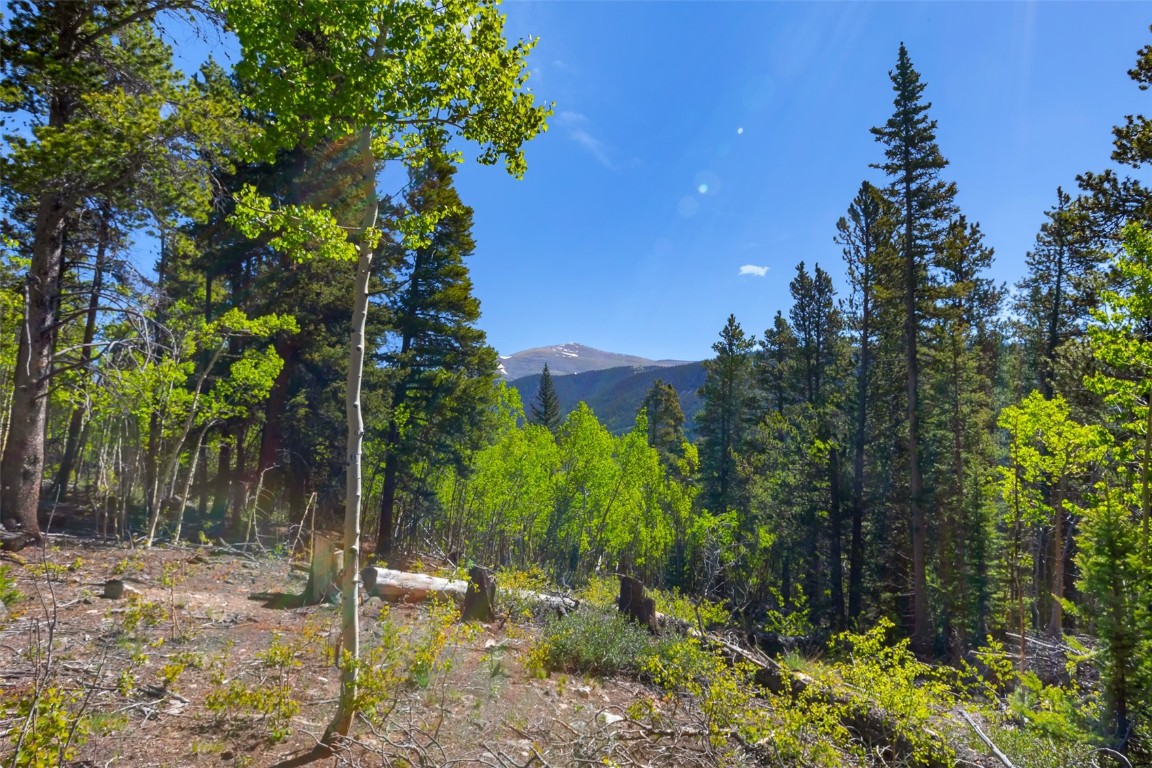 715 Lewsader Road Alma CO 80420