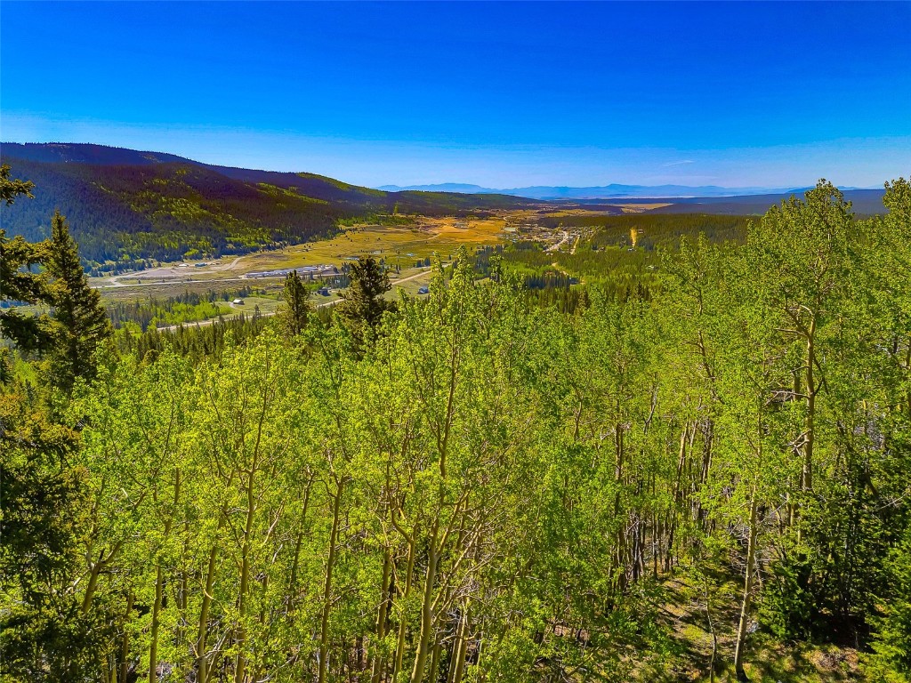 715 Lewsader Road Alma CO 80420