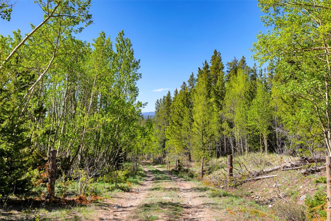 715 Lewsader Road Alma CO 80420
