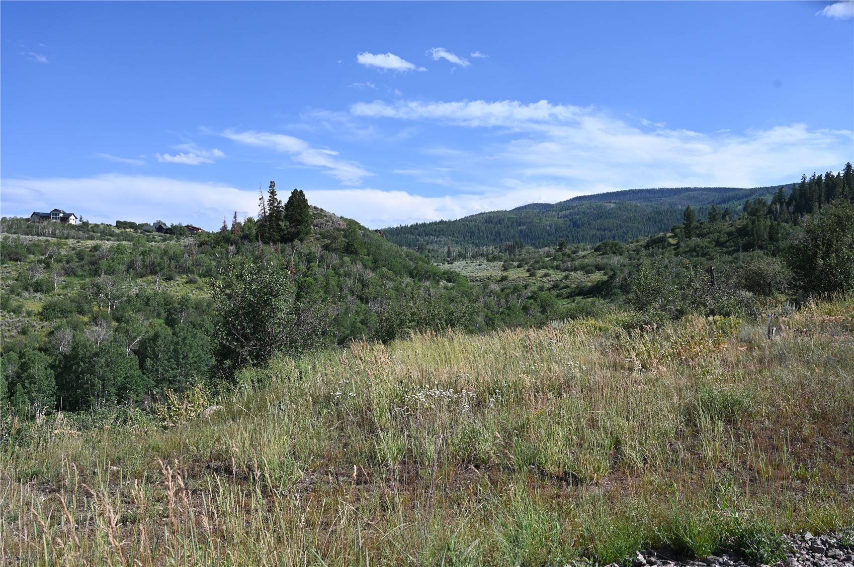 23590 Young Creek Way Oak Creek CO 80467