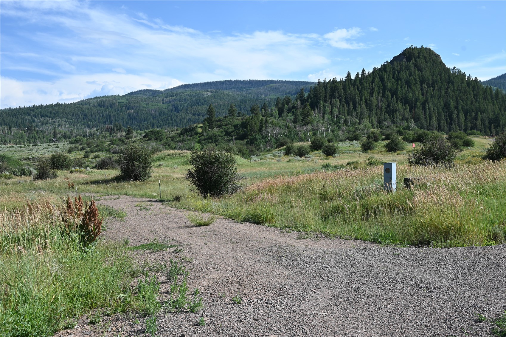 23590 Young Creek Way Oak Creek CO 80467