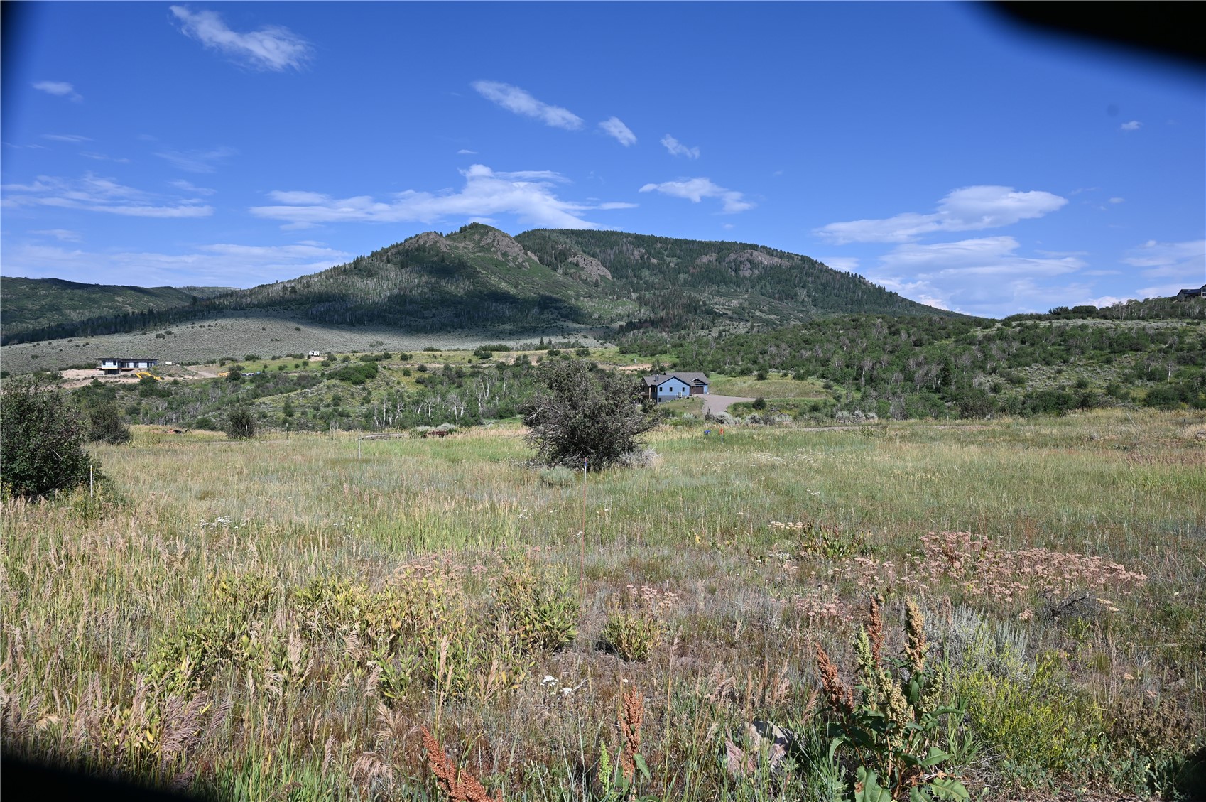 23590 Young Creek Way Oak Creek CO 80467