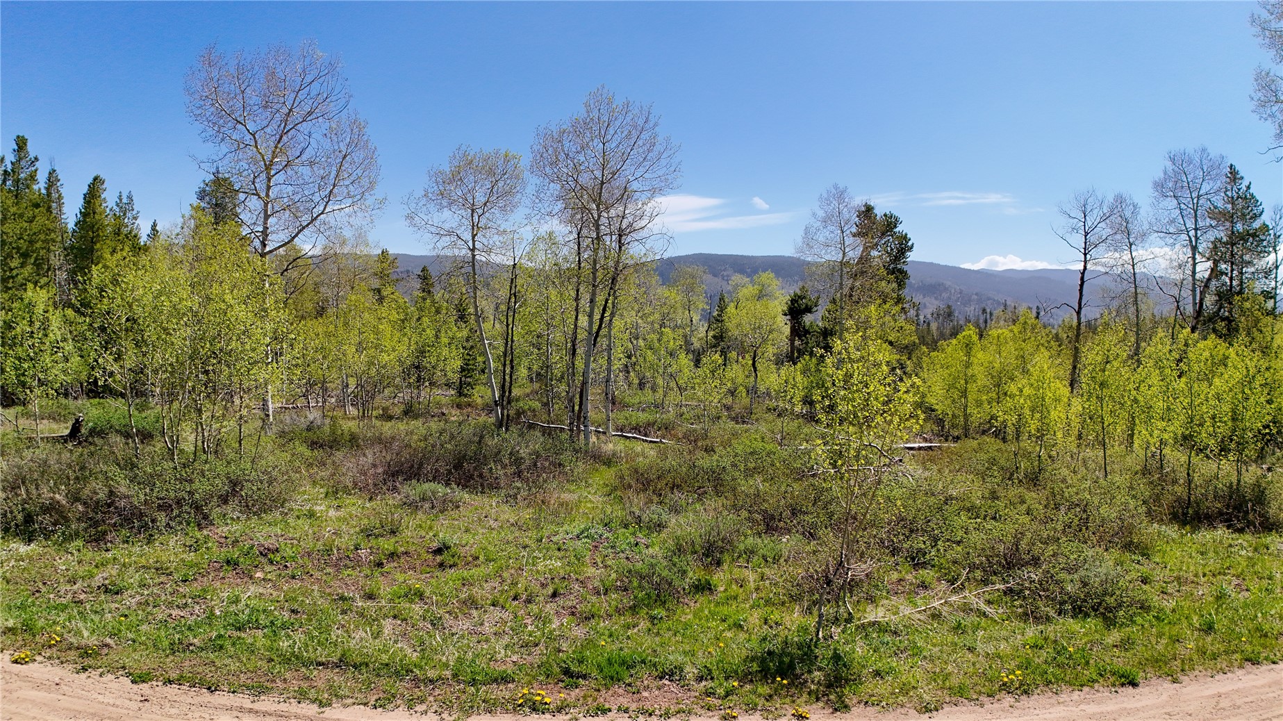 000 Hoch Eye Way Oak Creek CO 80467