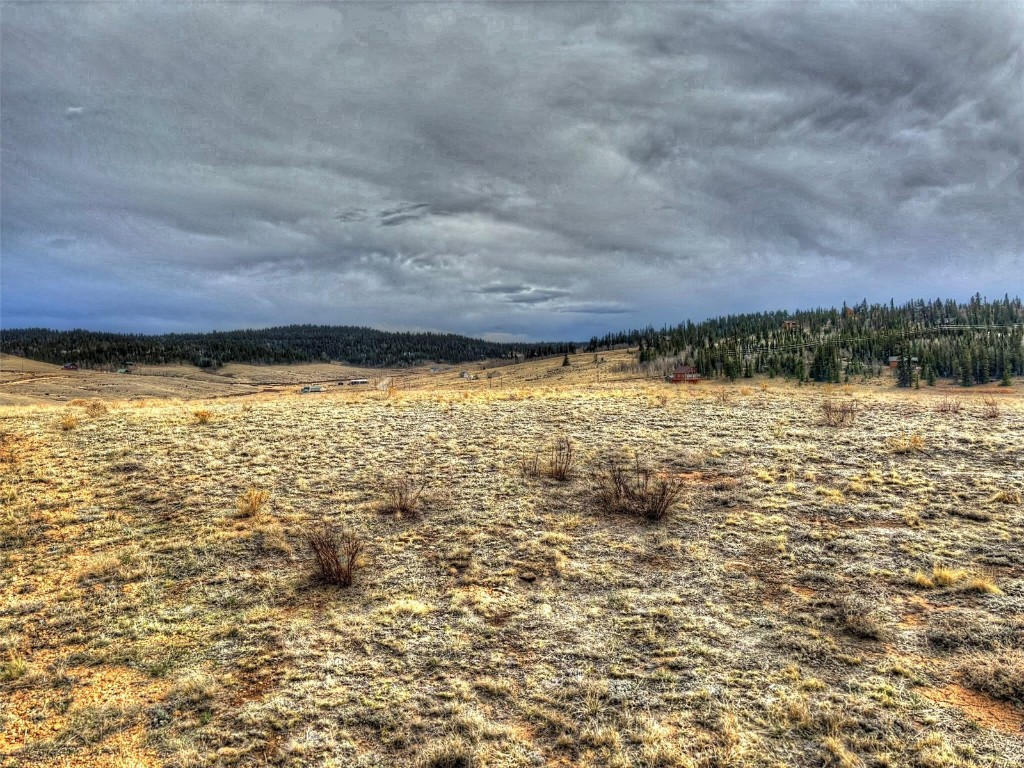 317 Lippzana Road Como CO 80432