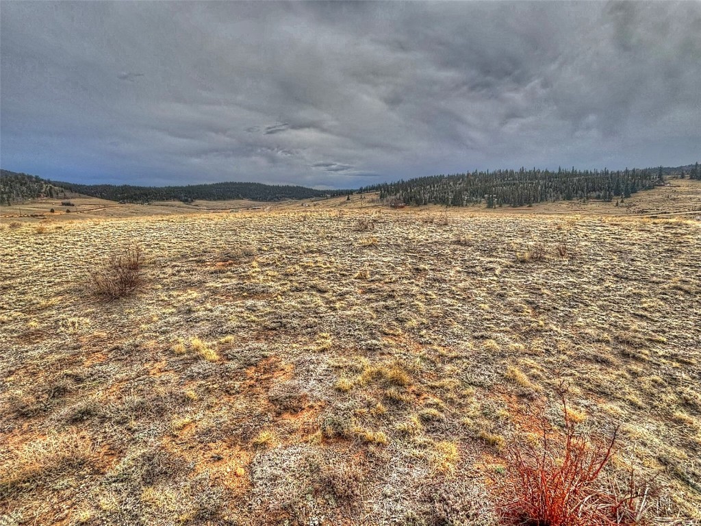 317 Lippzana Road Como CO 80432