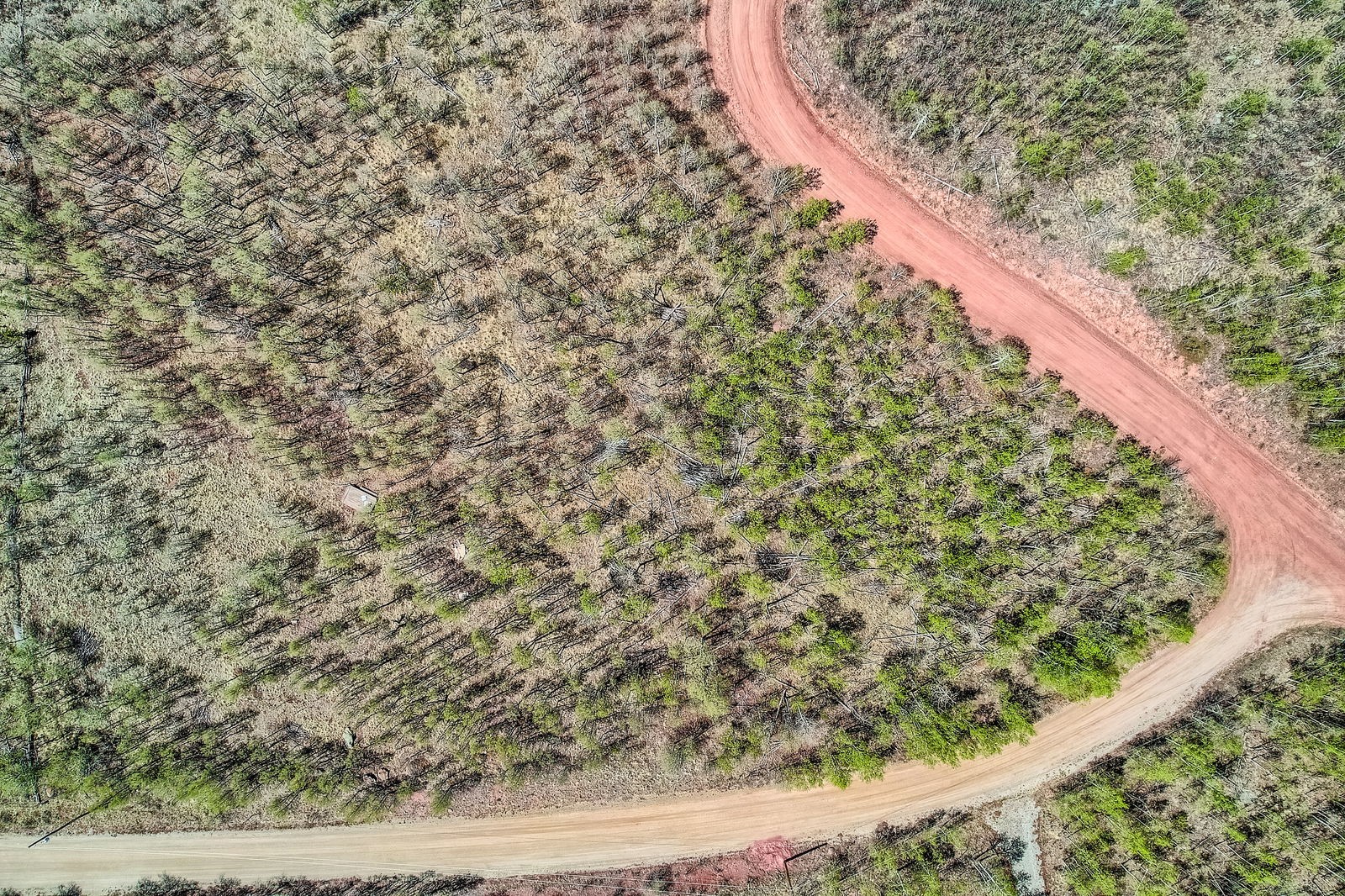 612 Iron Mountain Road Fairplay CO 80440
