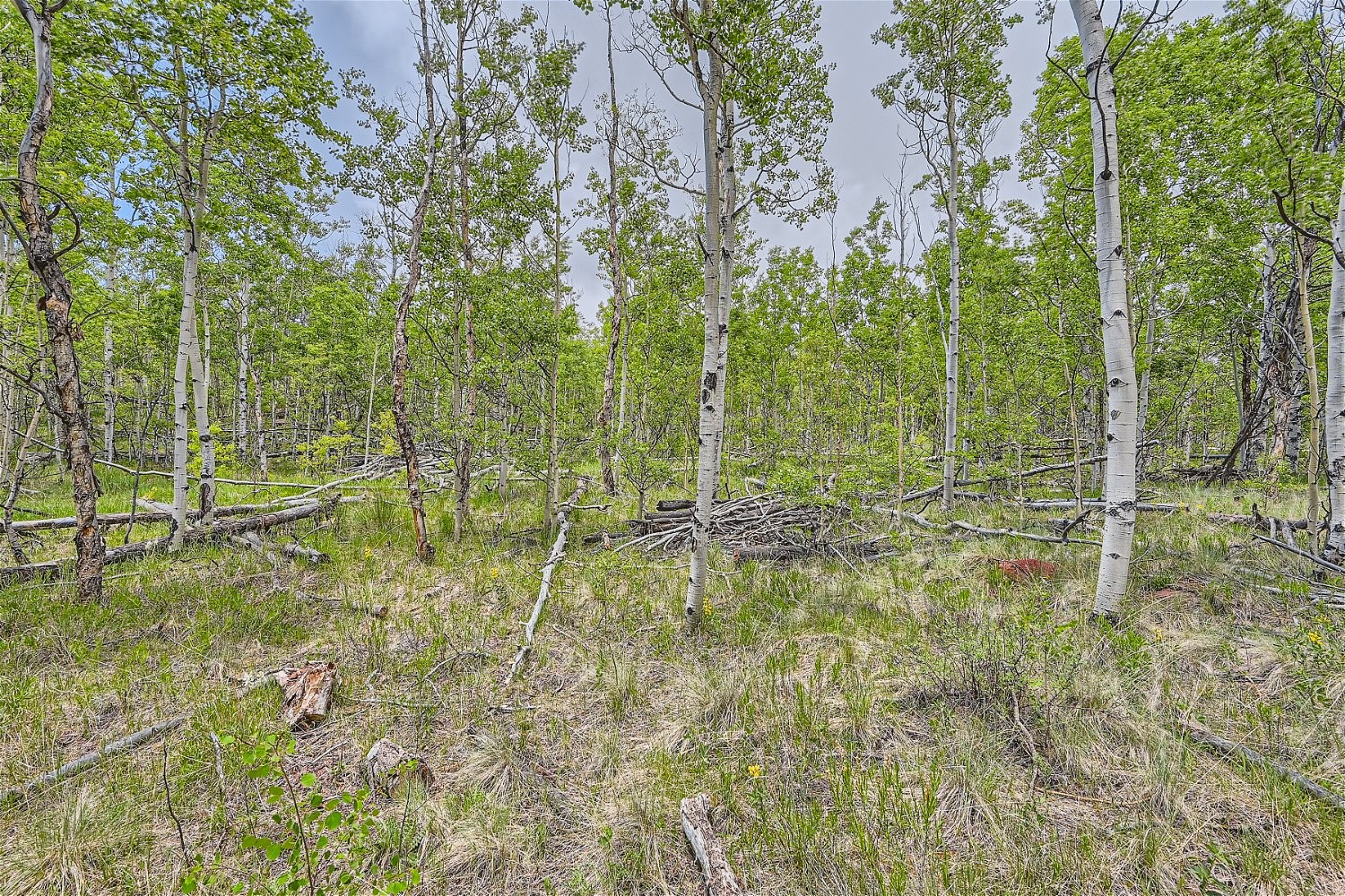 612 Iron Mountain Road Fairplay CO 80440