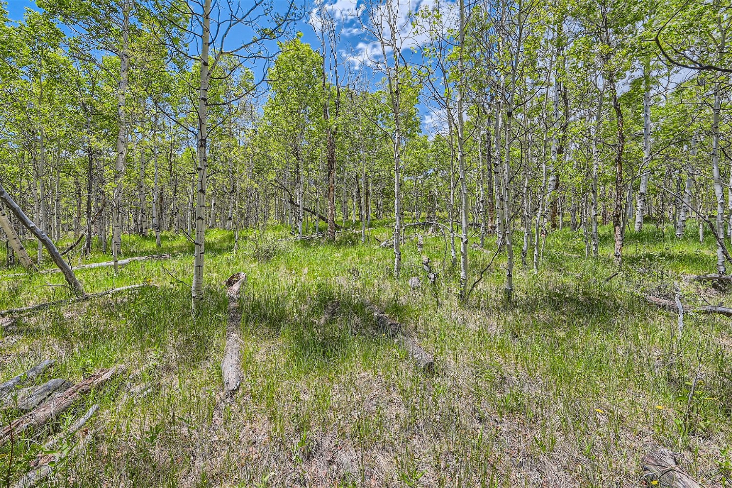 612 Iron Mountain Road Fairplay CO 80440