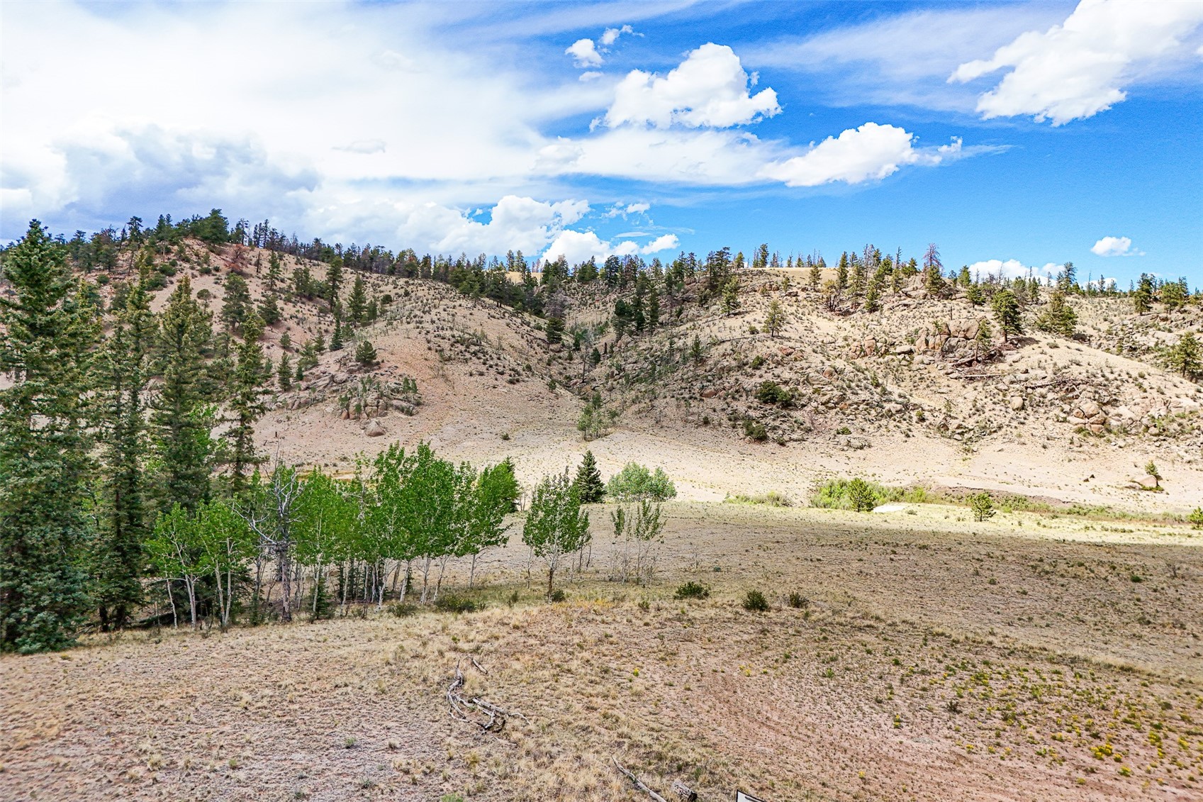 1111 Latigo Loop Hartsel CO 80820