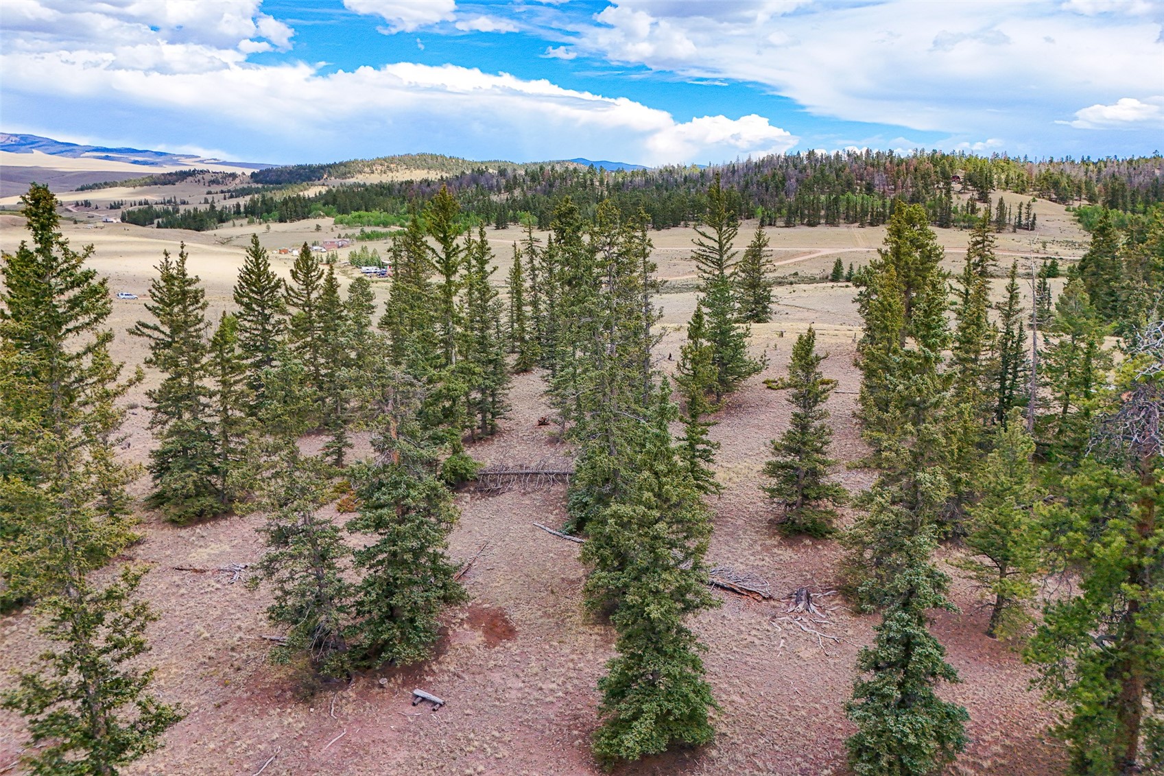 1111 Latigo Loop Hartsel CO 80820