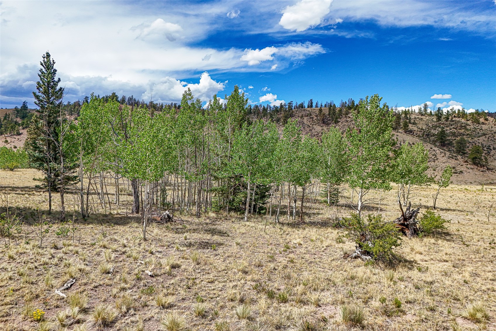 1111 Latigo Loop Hartsel CO 80820