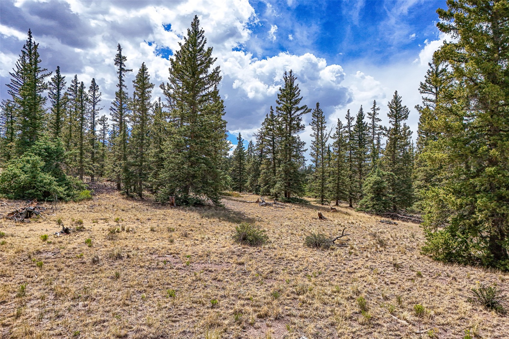 1111 Latigo Loop Hartsel CO 80820