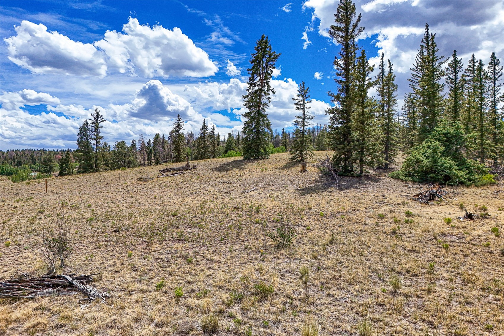 1111 Latigo Loop Hartsel CO 80820