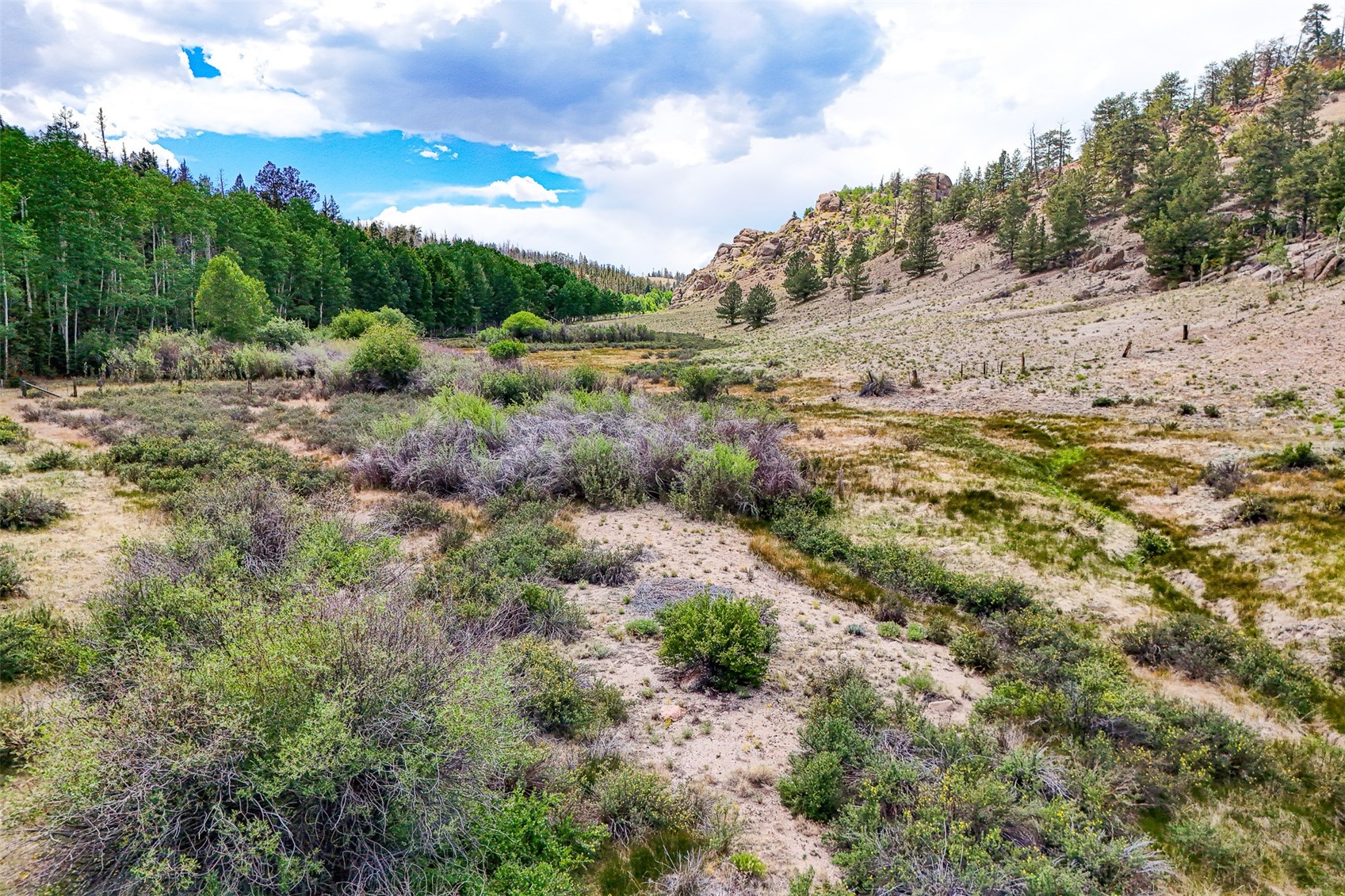 1111 Latigo Loop Hartsel CO 80820