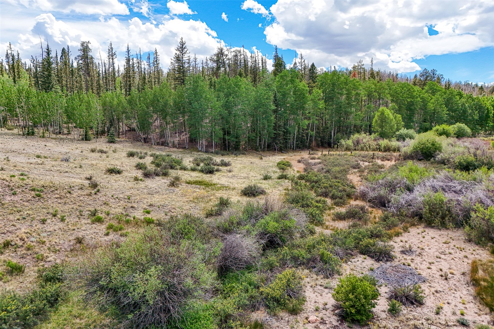1111 Latigo Loop Hartsel CO 80820