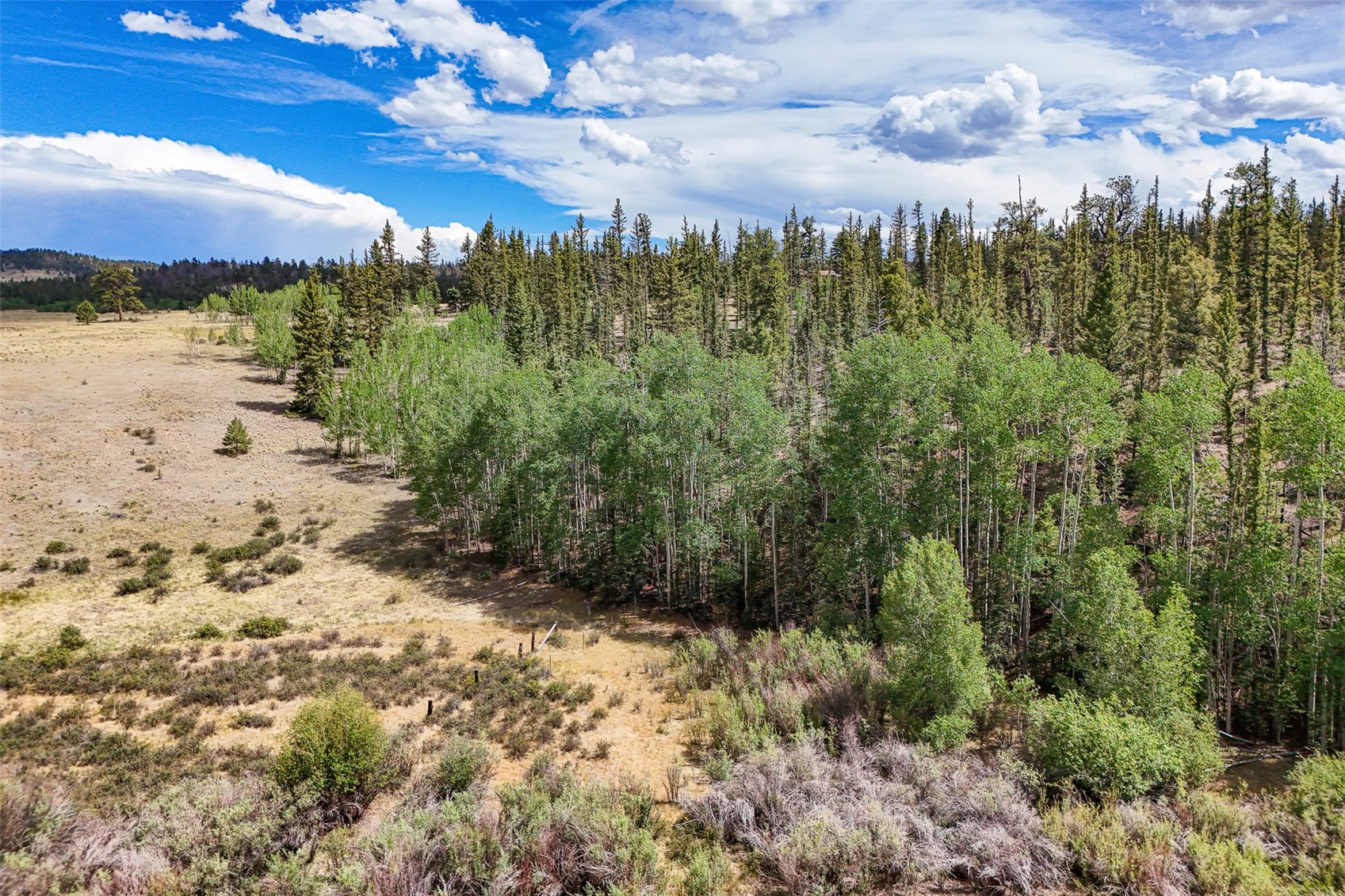 1111 Latigo Loop Hartsel CO 80820