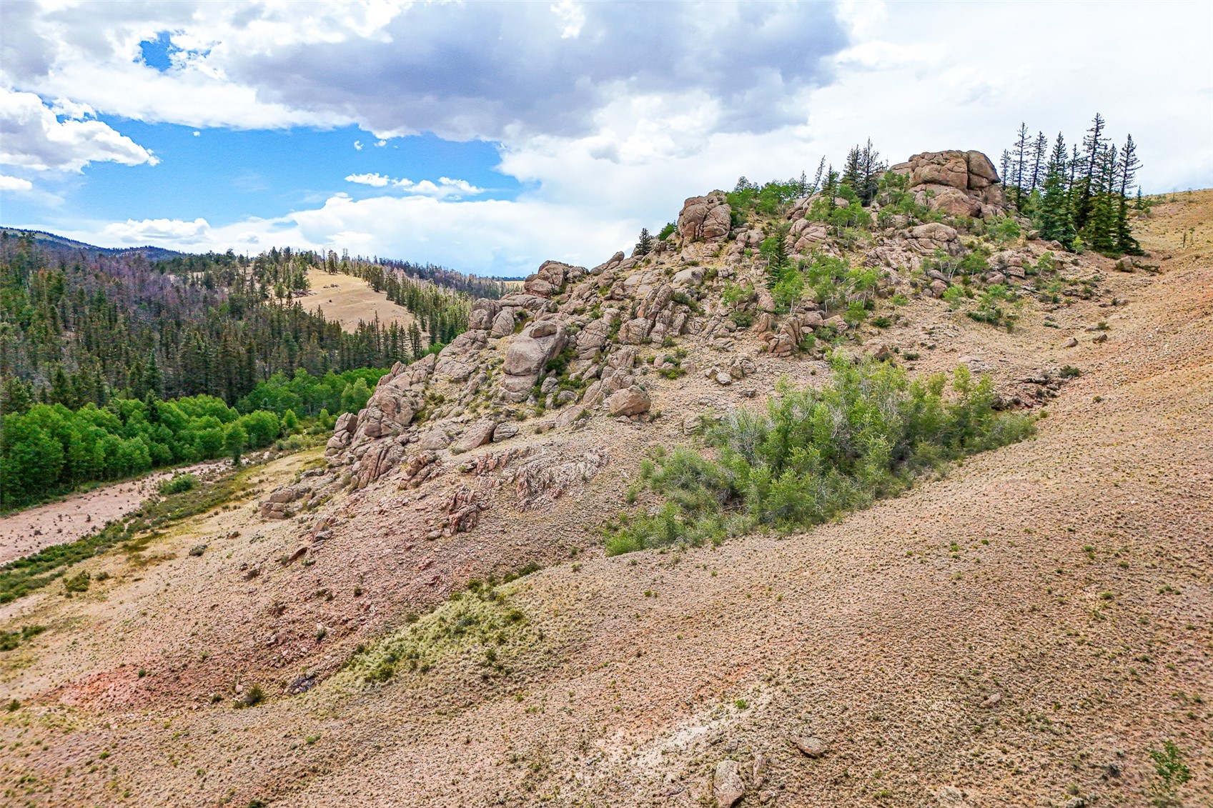 1111 Latigo Loop Hartsel CO 80820