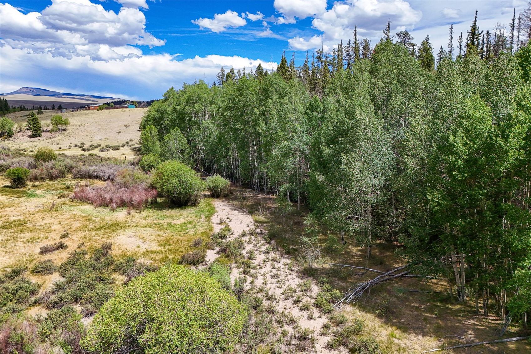 1111 Latigo Loop Hartsel CO 80820
