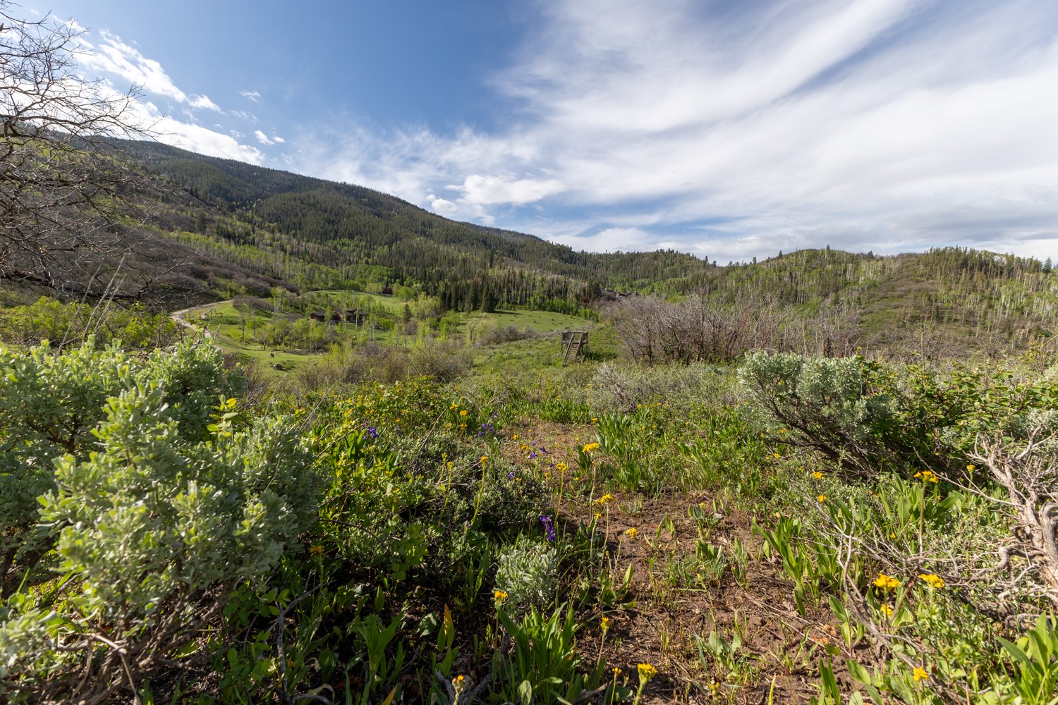 33655 Lone Pine Trail Steamboat Springs CO 80487