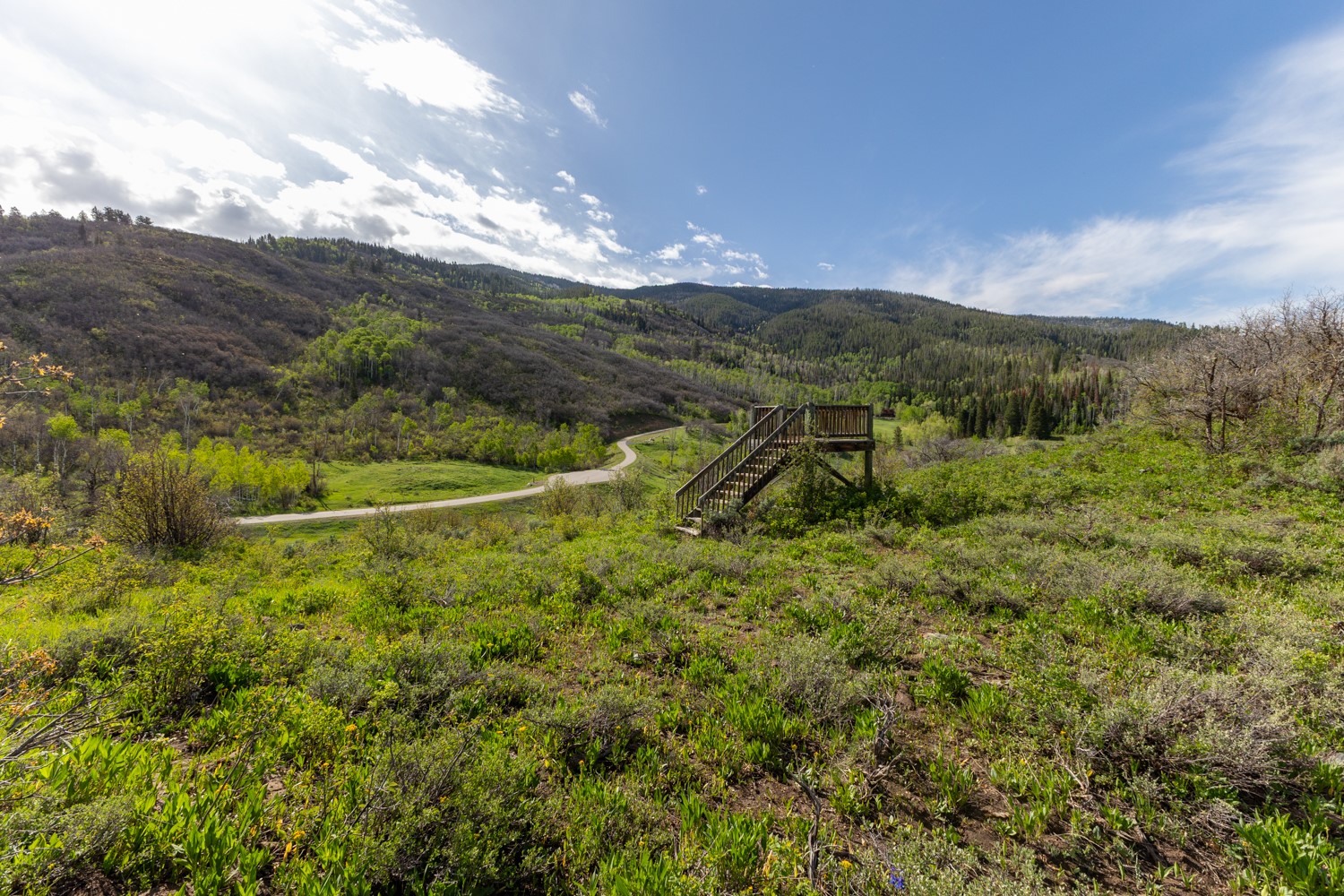 33655 Lone Pine Trail Steamboat Springs CO 80487