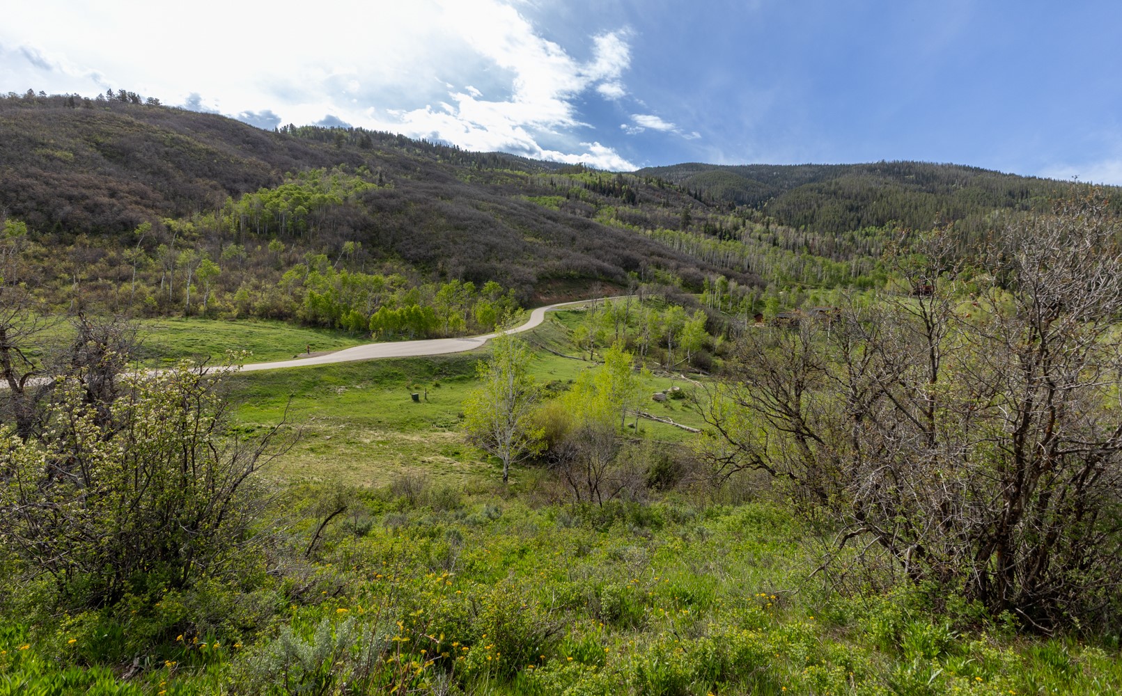 33655 Lone Pine Trail Steamboat Springs CO 80487