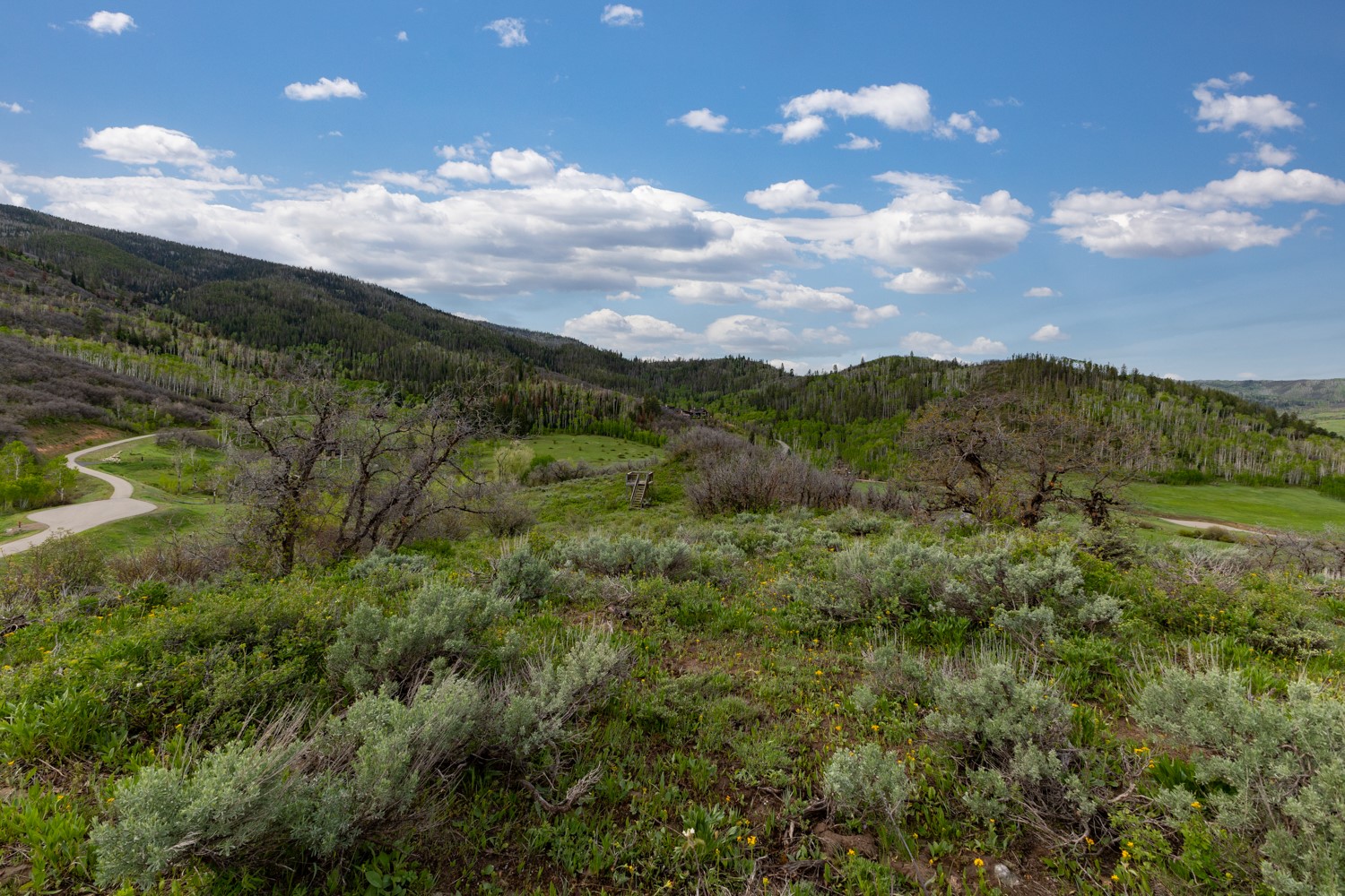 33655 Lone Pine Trail Steamboat Springs CO 80487