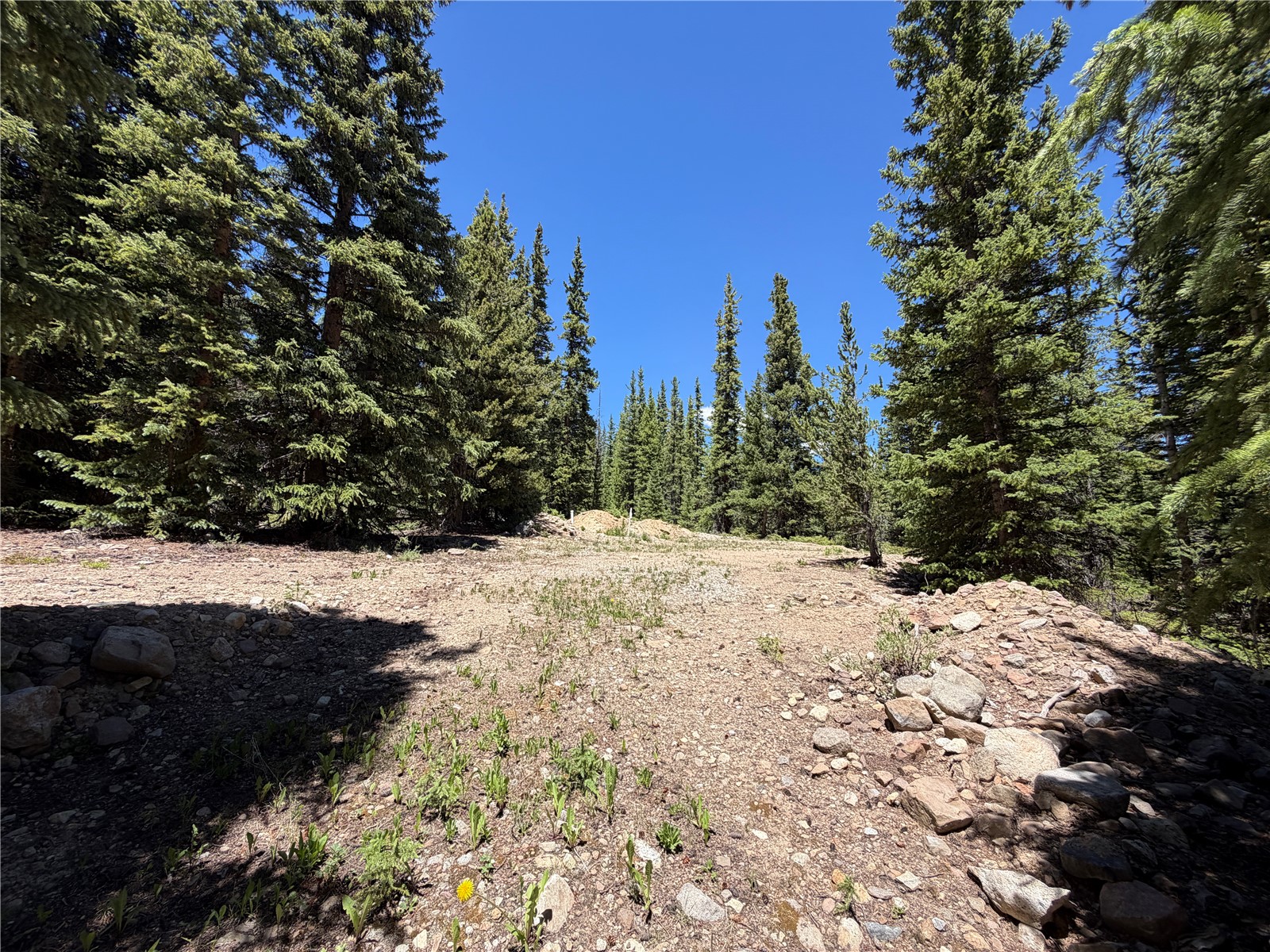 339 Silverheels Place Fairplay CO 80440