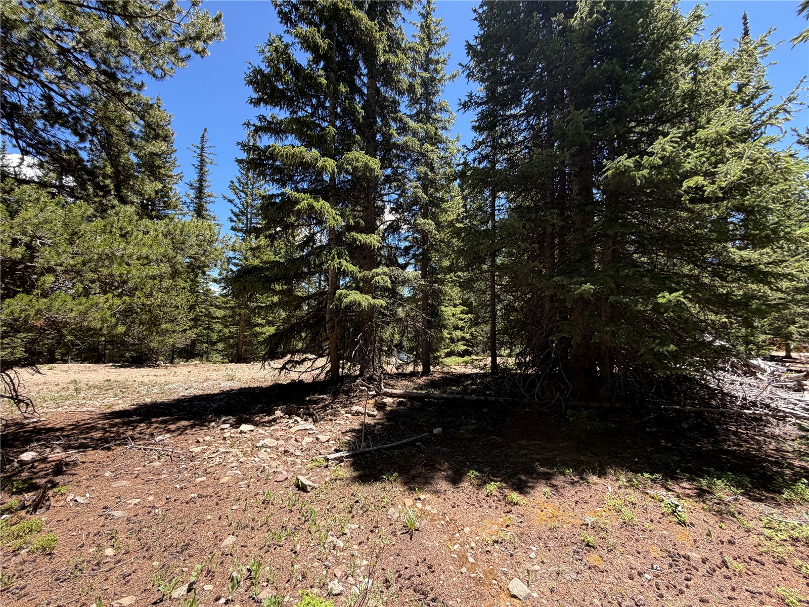339 Silverheels Place Fairplay CO 80440