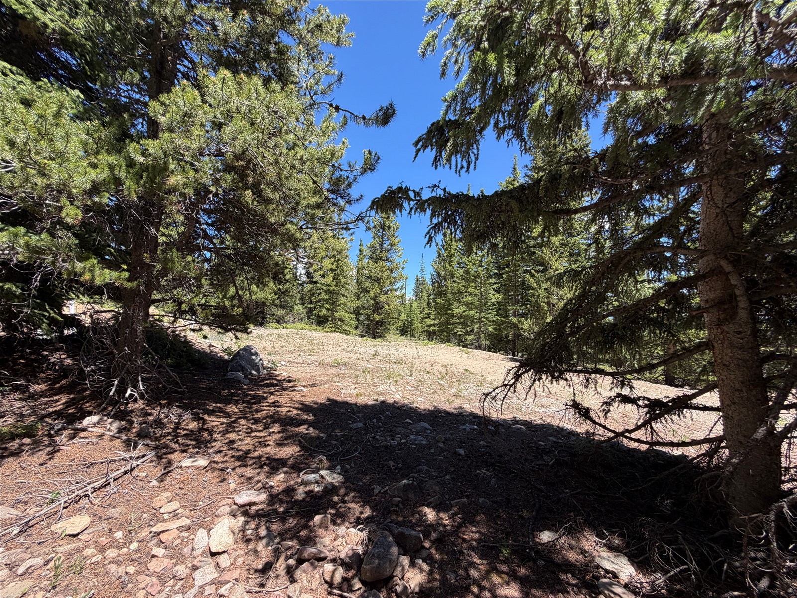 339 Silverheels Place Fairplay CO 80440