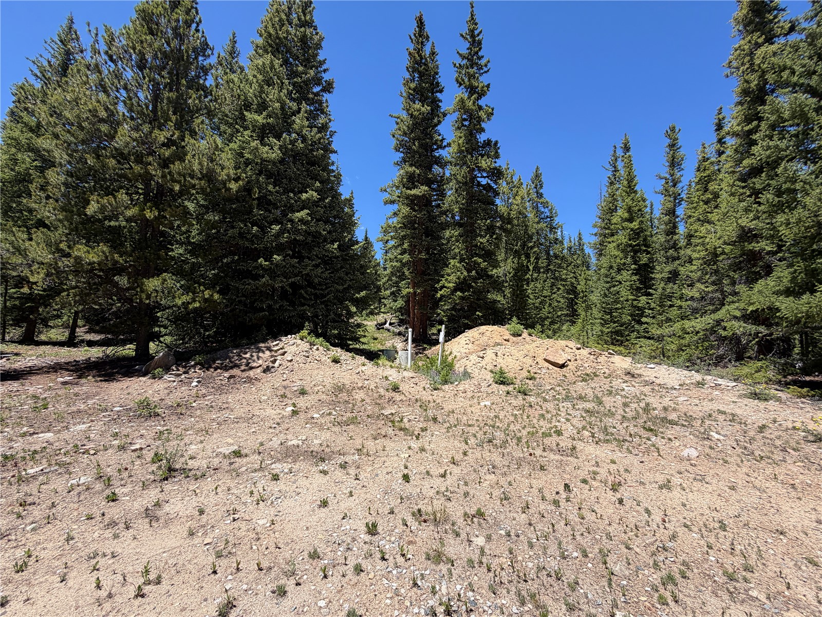 339 Silverheels Place Fairplay CO 80440