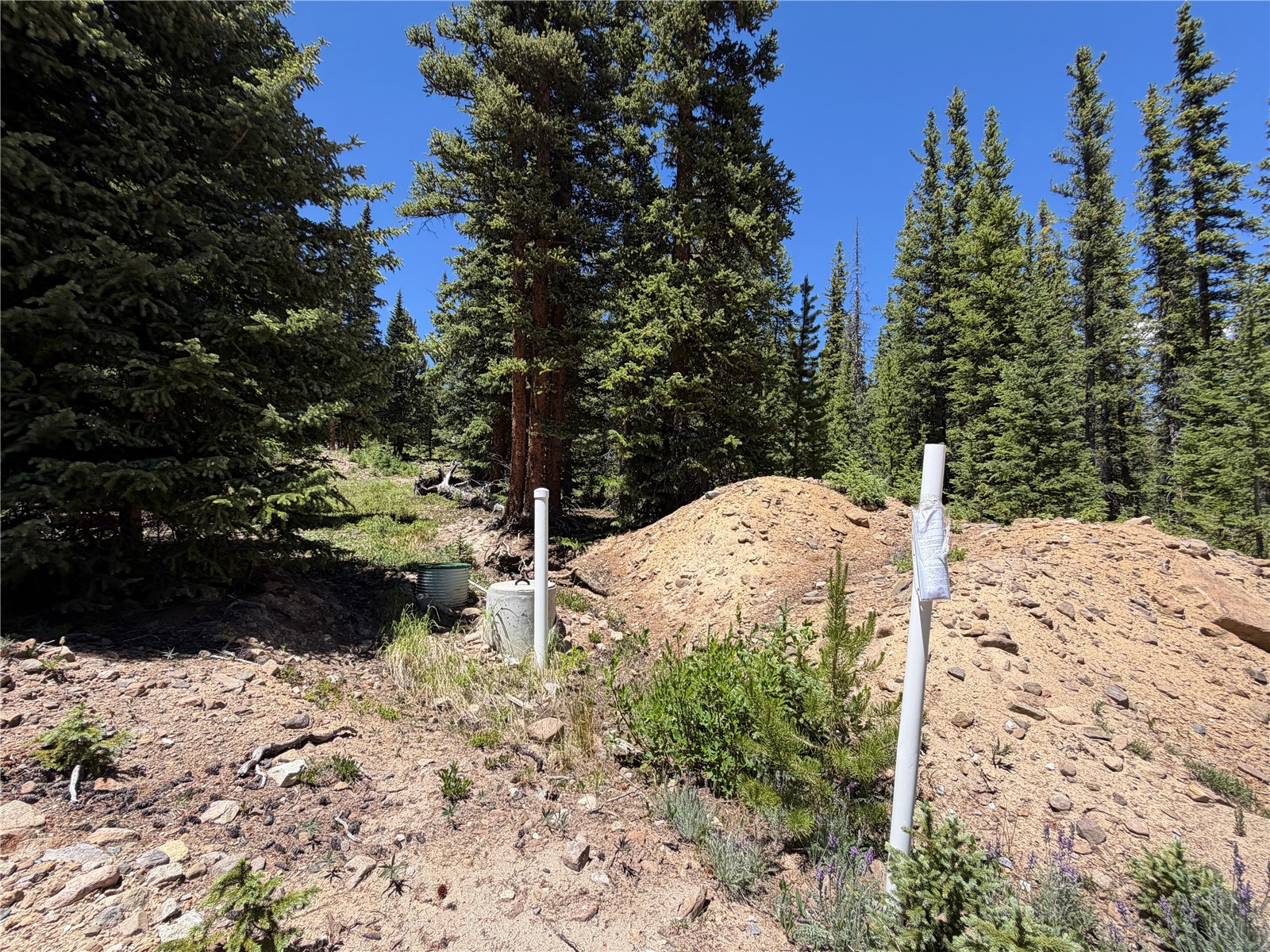 339 Silverheels Place Fairplay CO 80440