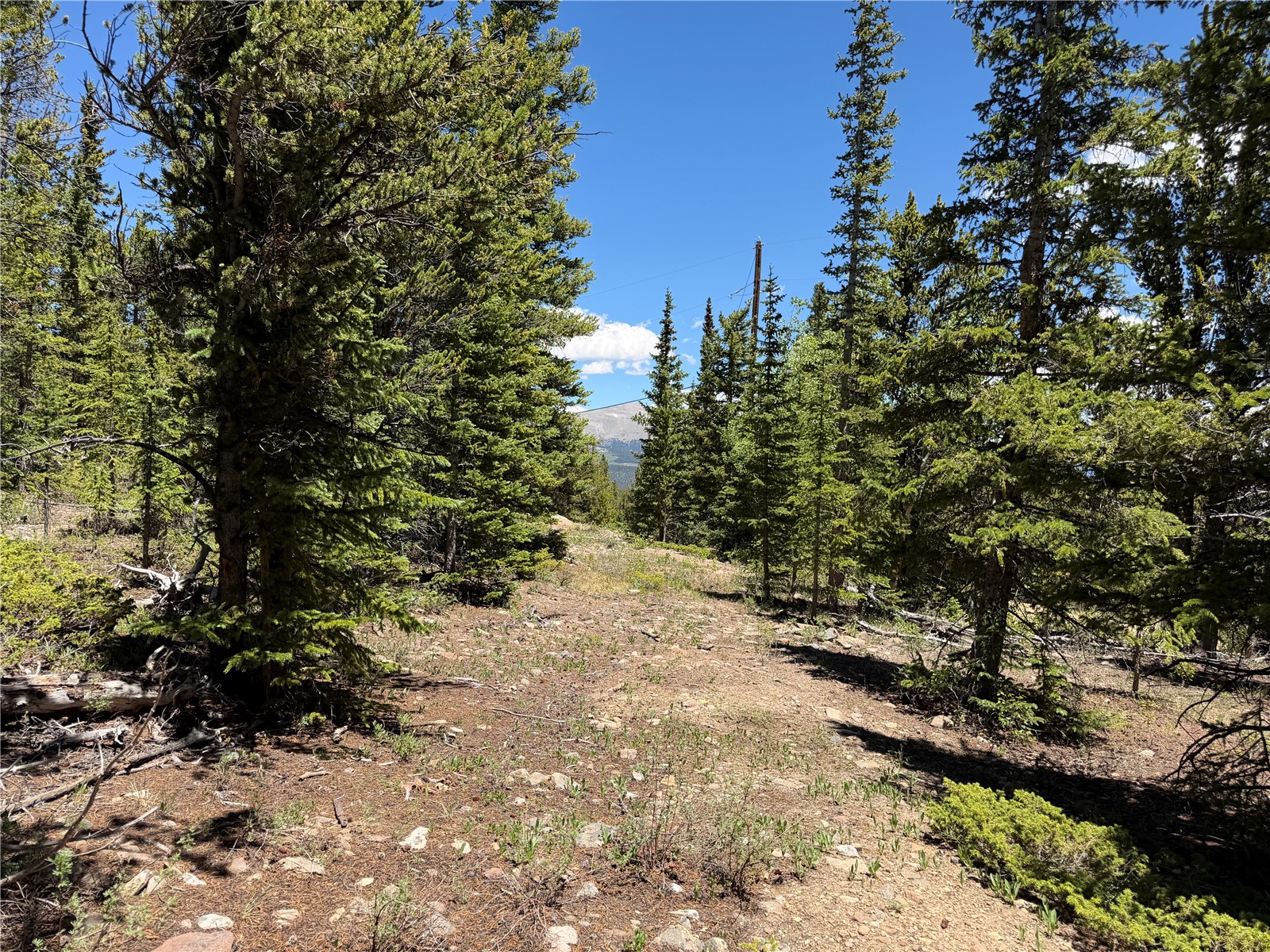 339 Silverheels Place Fairplay CO 80440