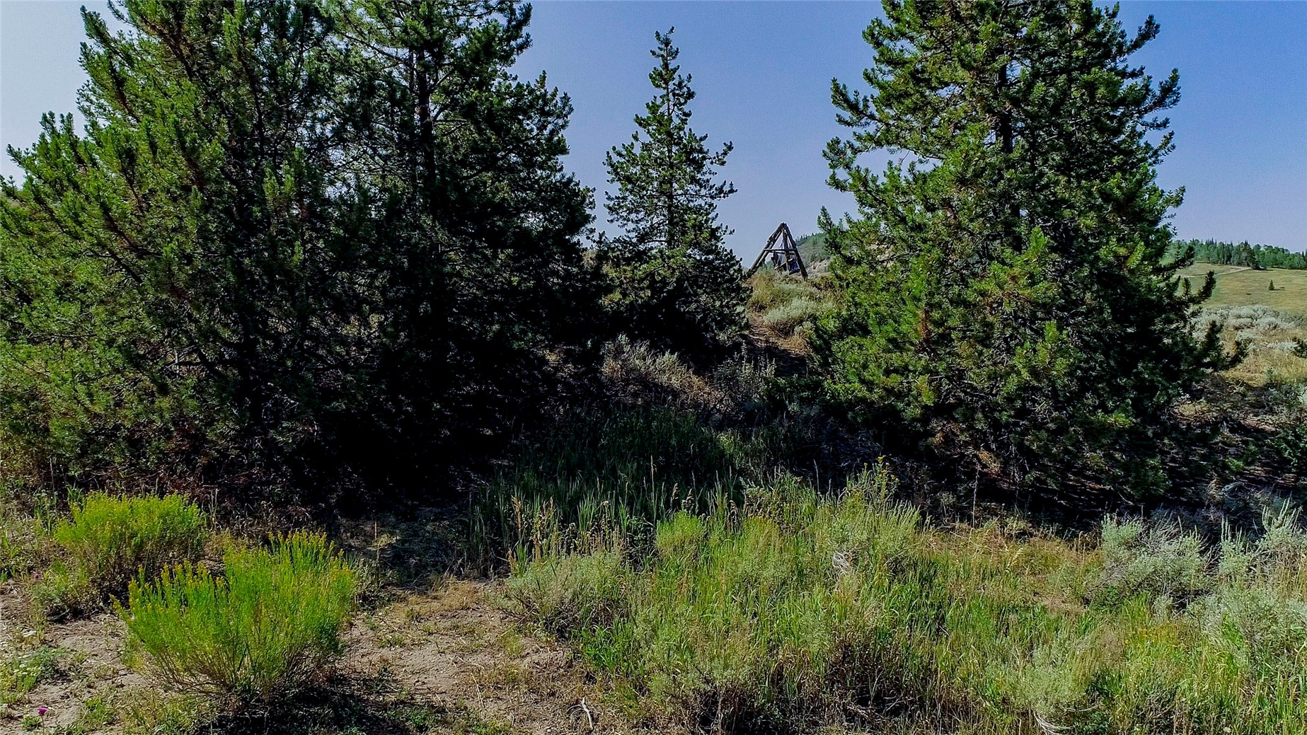 889 E Anemone Trail Dillon CO 80435