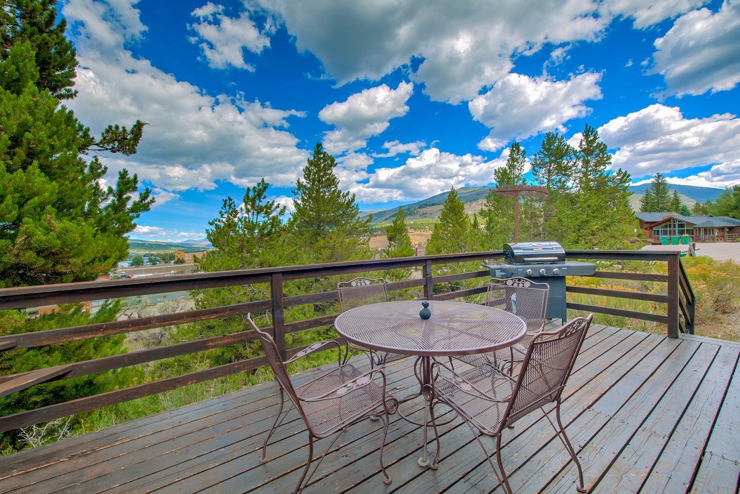 889 E Anemone Trail Dillon CO 80435