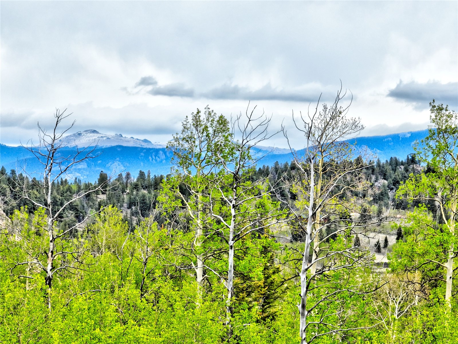 71 Mallard Road Como CO 80432